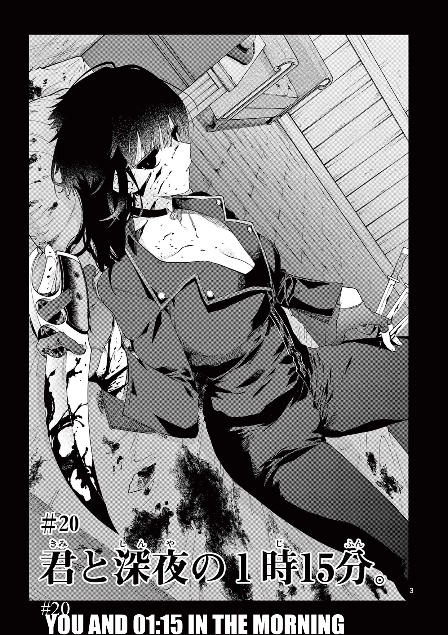 Page 4 of Chapter 20