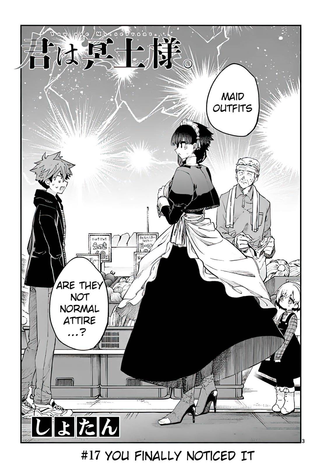 Page 3 of Chapter 17