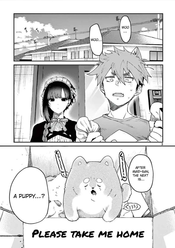 Page 3 of Chapter 4.5