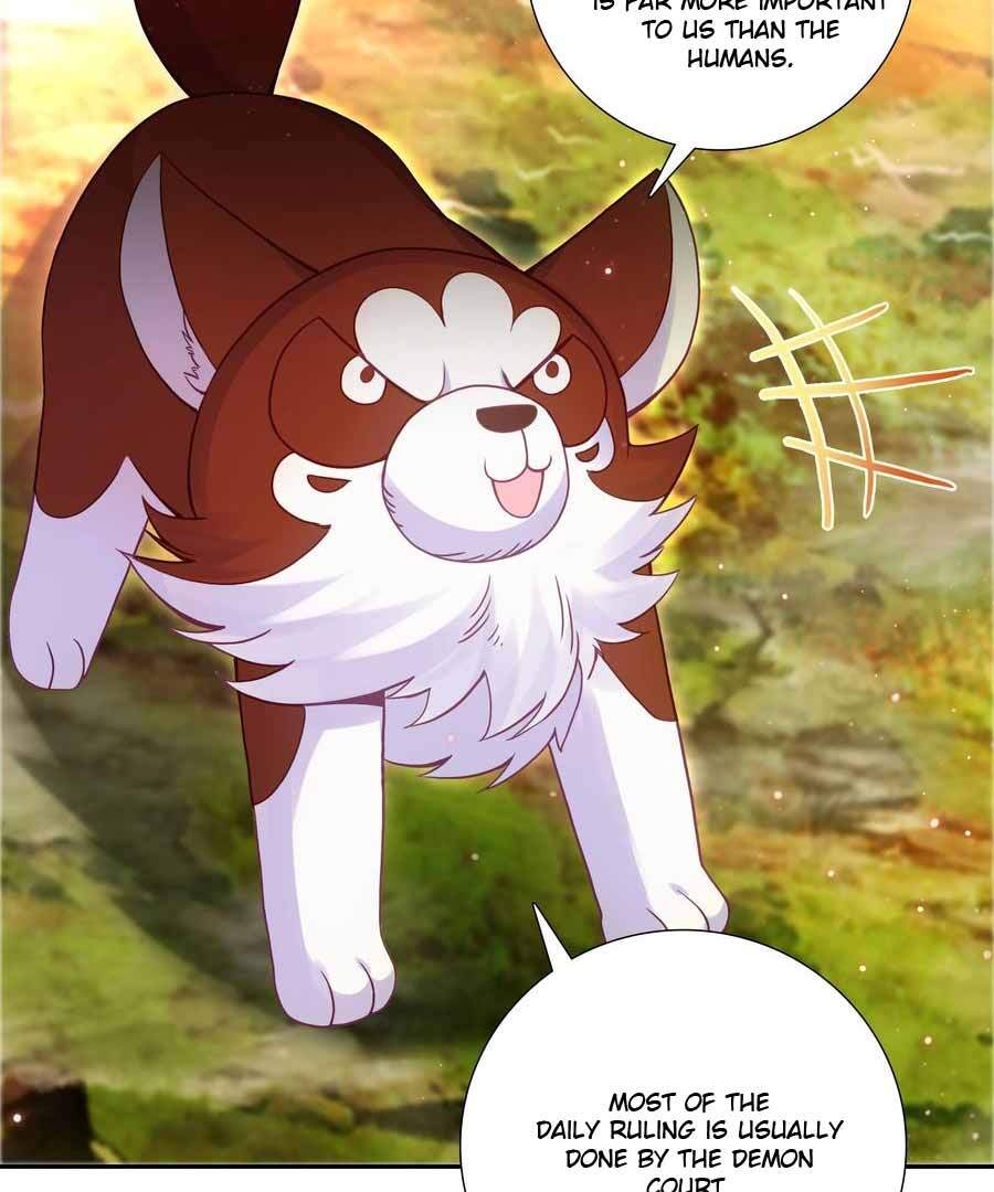 Page 5 of Chapter 271