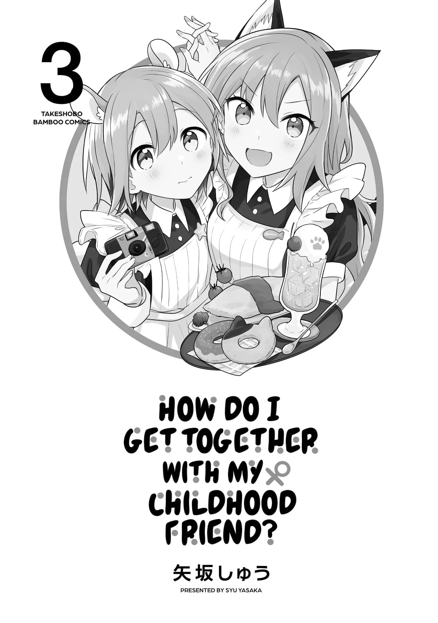 Page 3 of Chapter 17.2