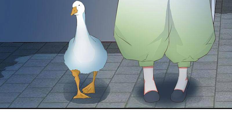 Page 20 of Chapter 60