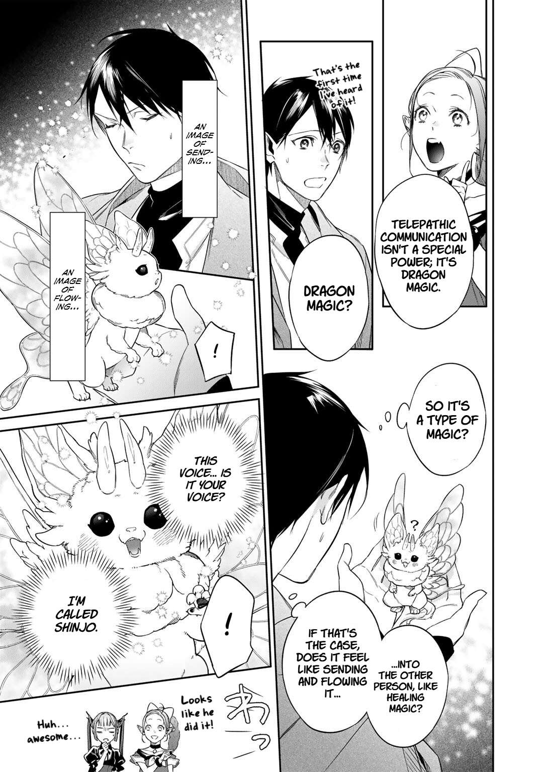 Page 13 of Chapter 53