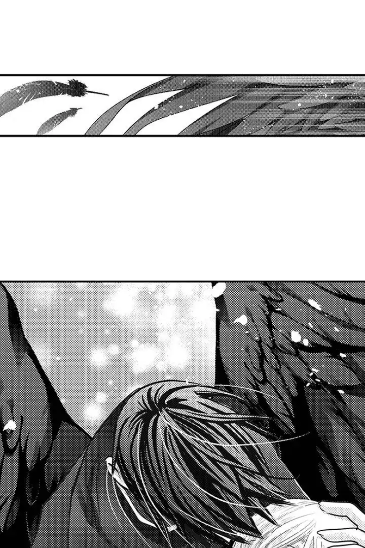 Page 14 of Chapter 41