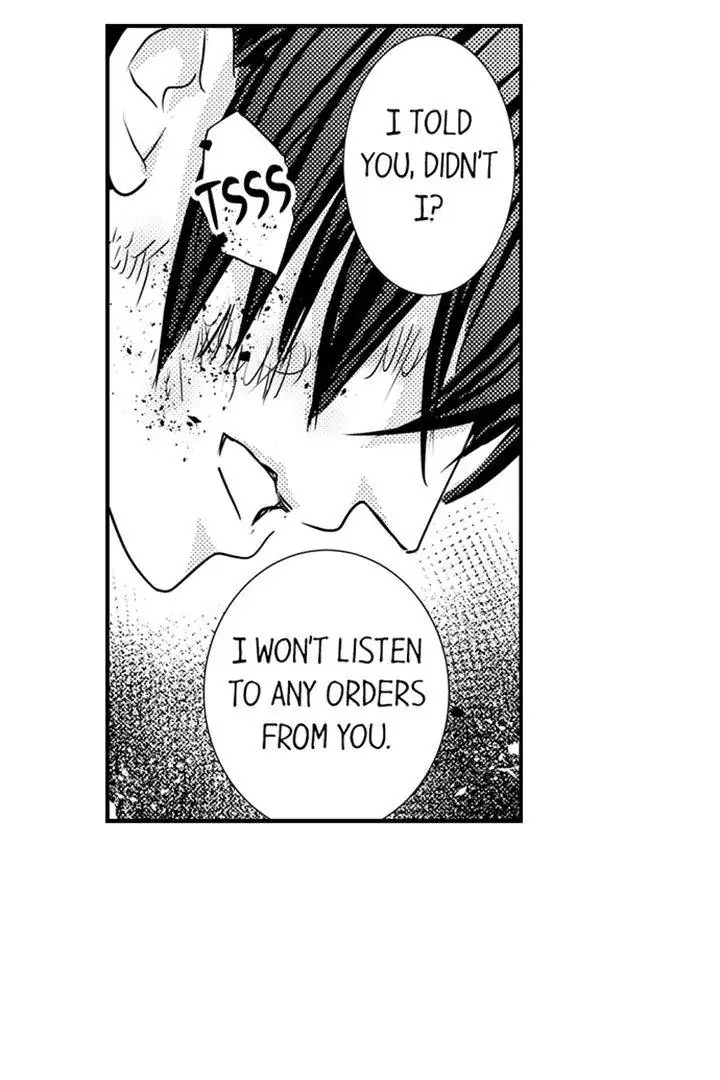 Page 20 of Chapter 41