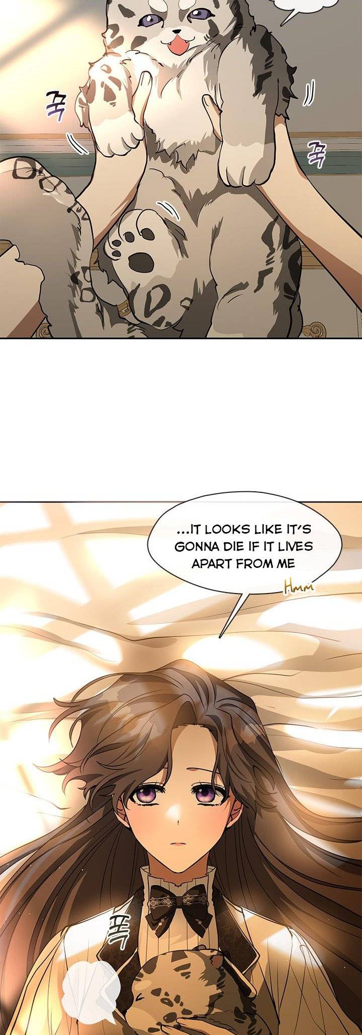 Page 41 of Chapter 46
