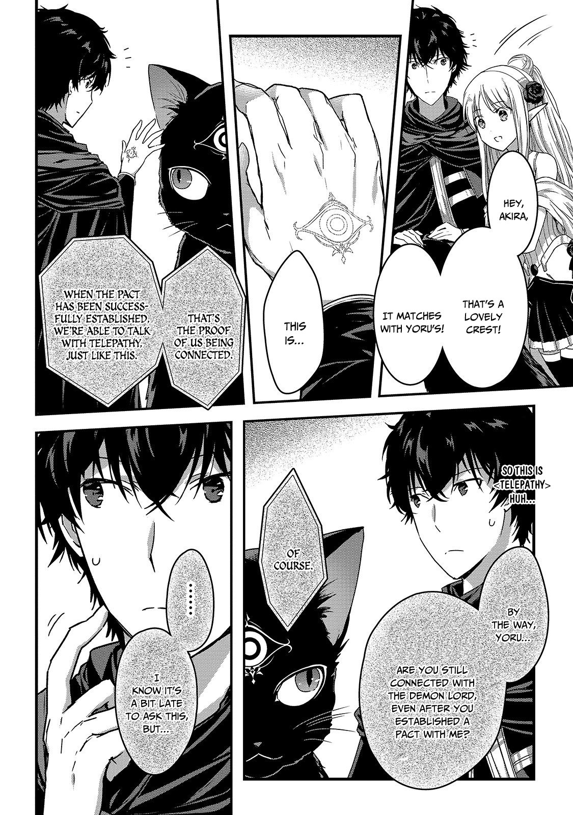 Page 23 of Chapter 11