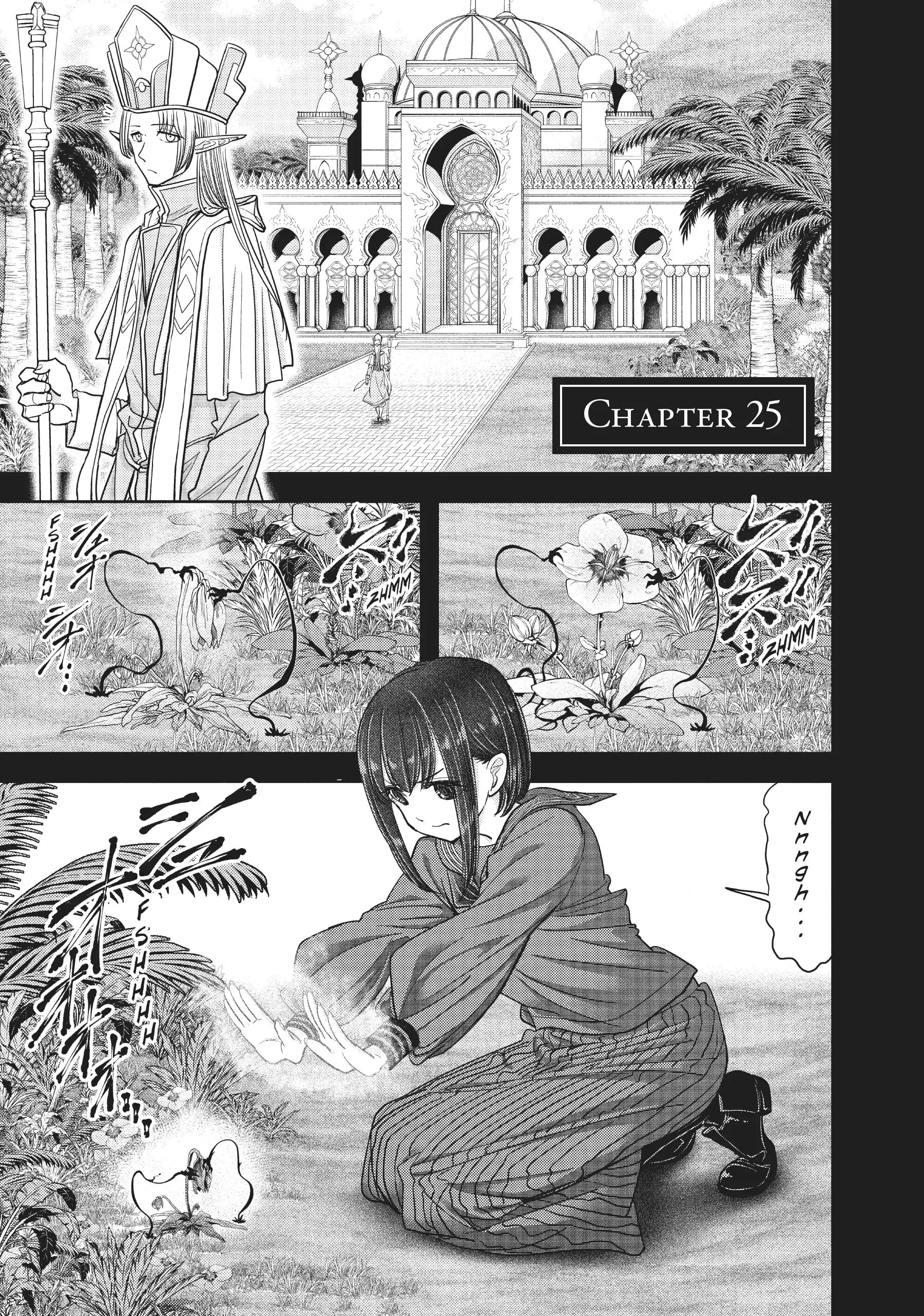 Page 1 of Chapter 25