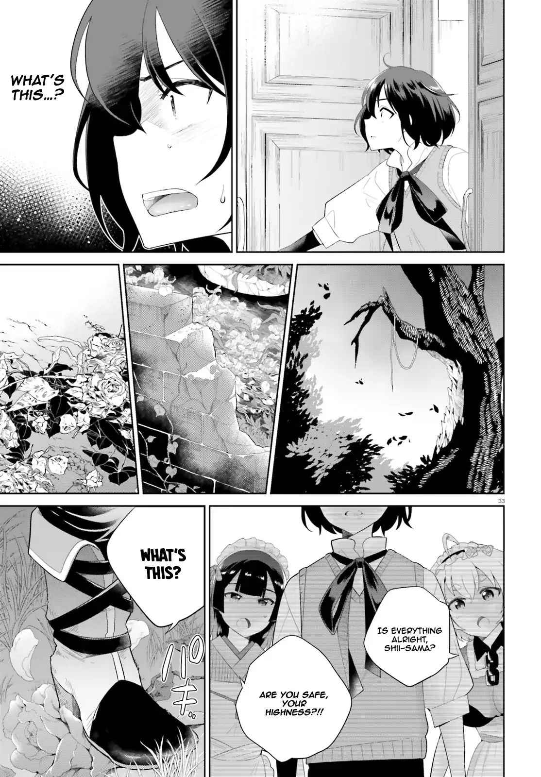 Page 33 of Chapter 1