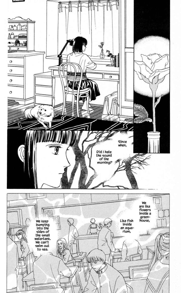 Page 5 of Chapter 3