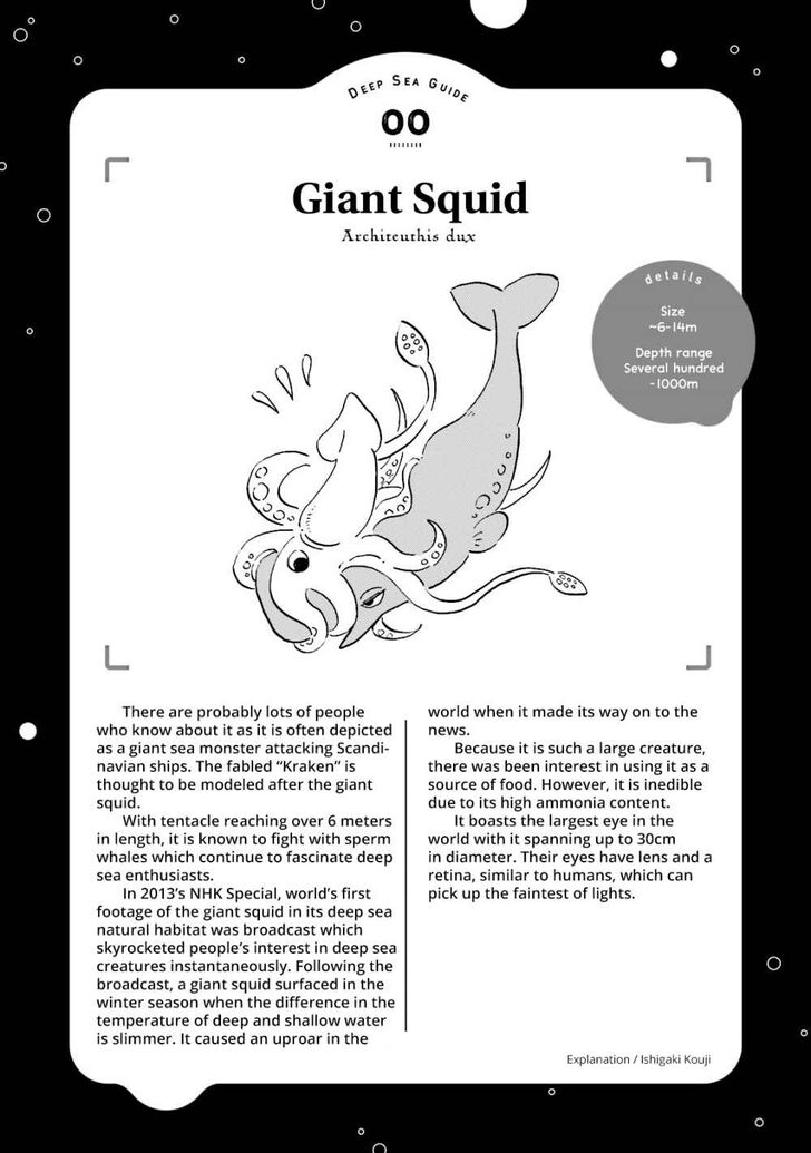 Page 13 of Chapter 0