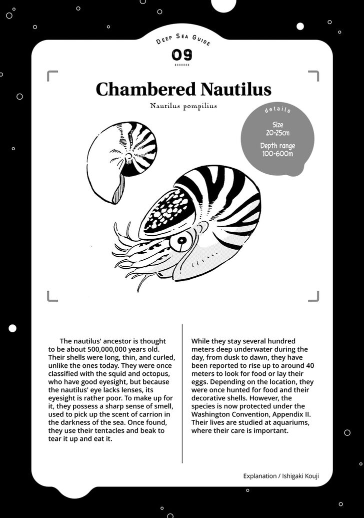 Page 34 of Chapter 10