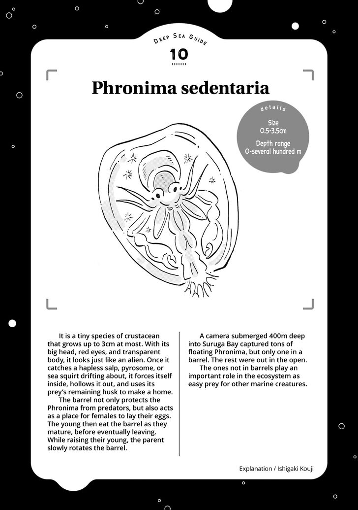 Page 37 of Chapter 11
