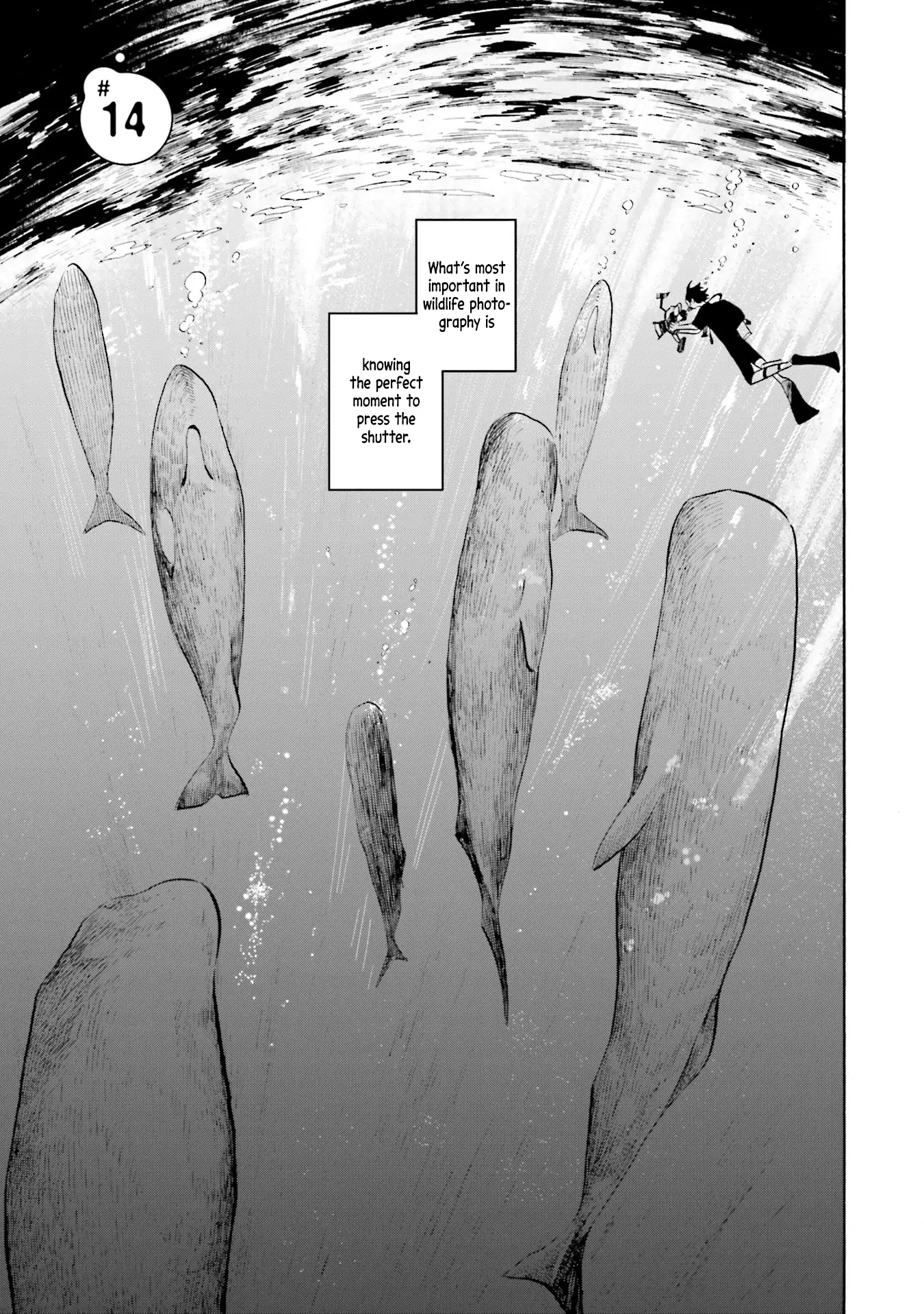 Page 1 of Chapter 14