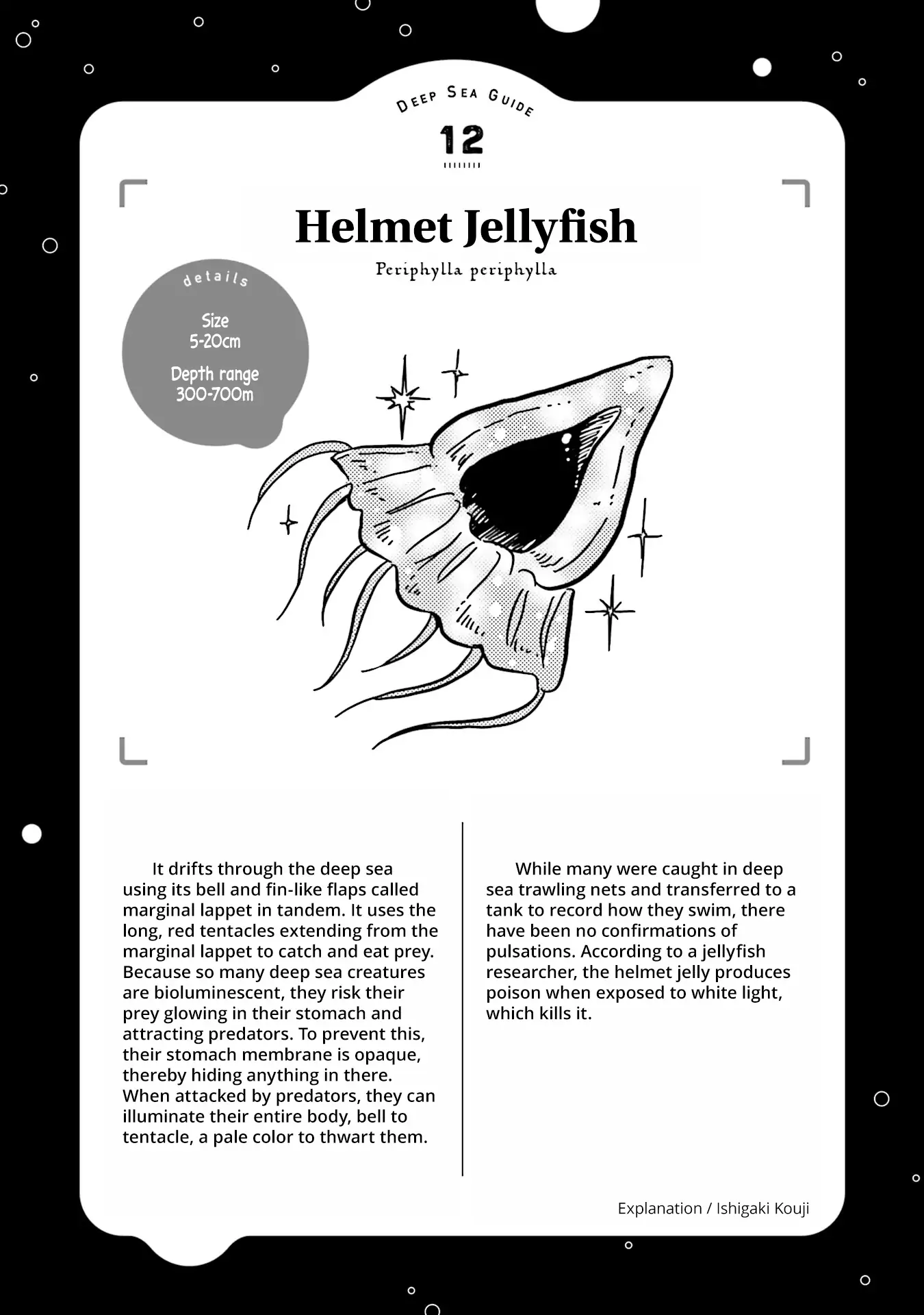 Page 44 of Chapter 14