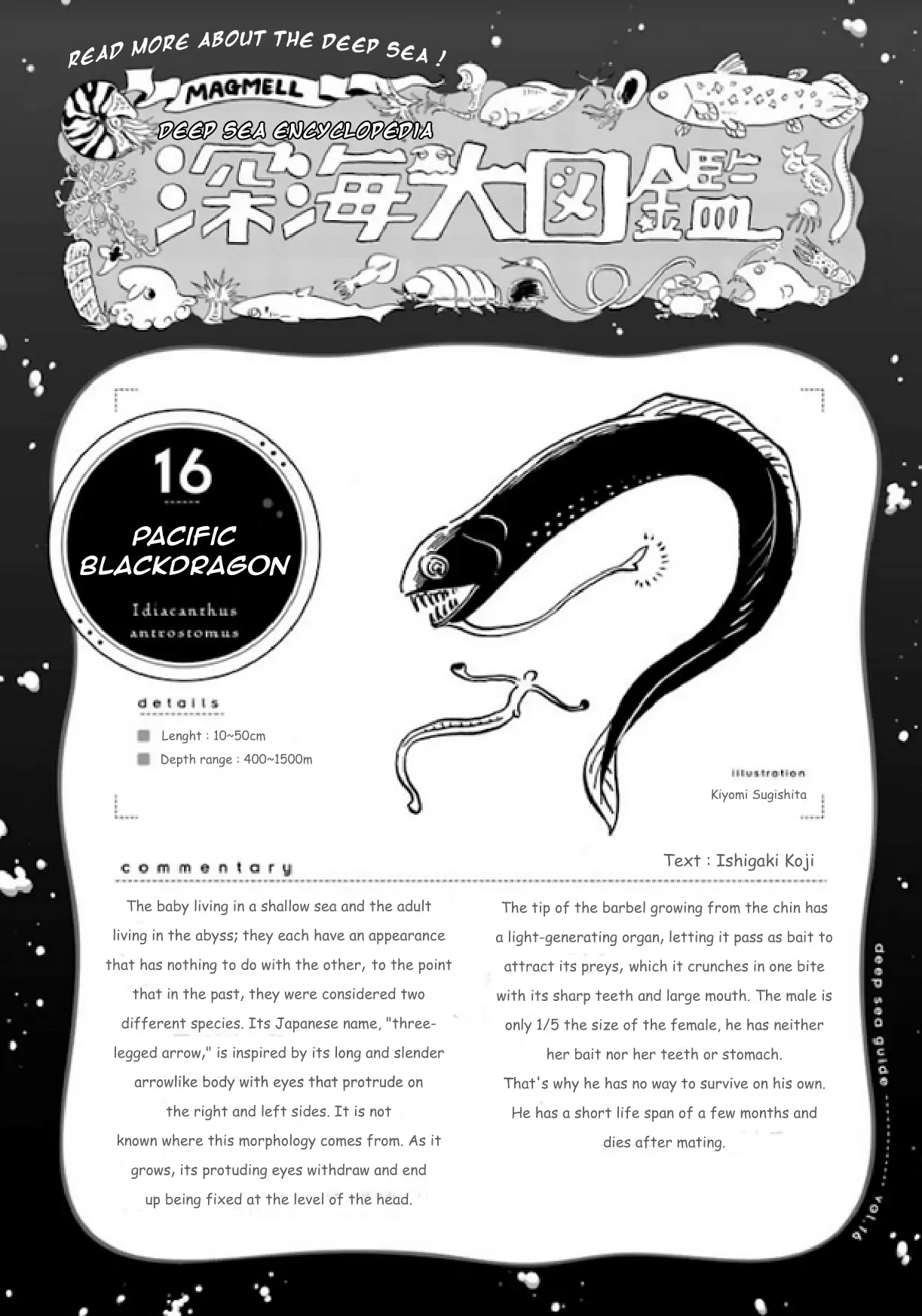 Page 14 of Chapter 18