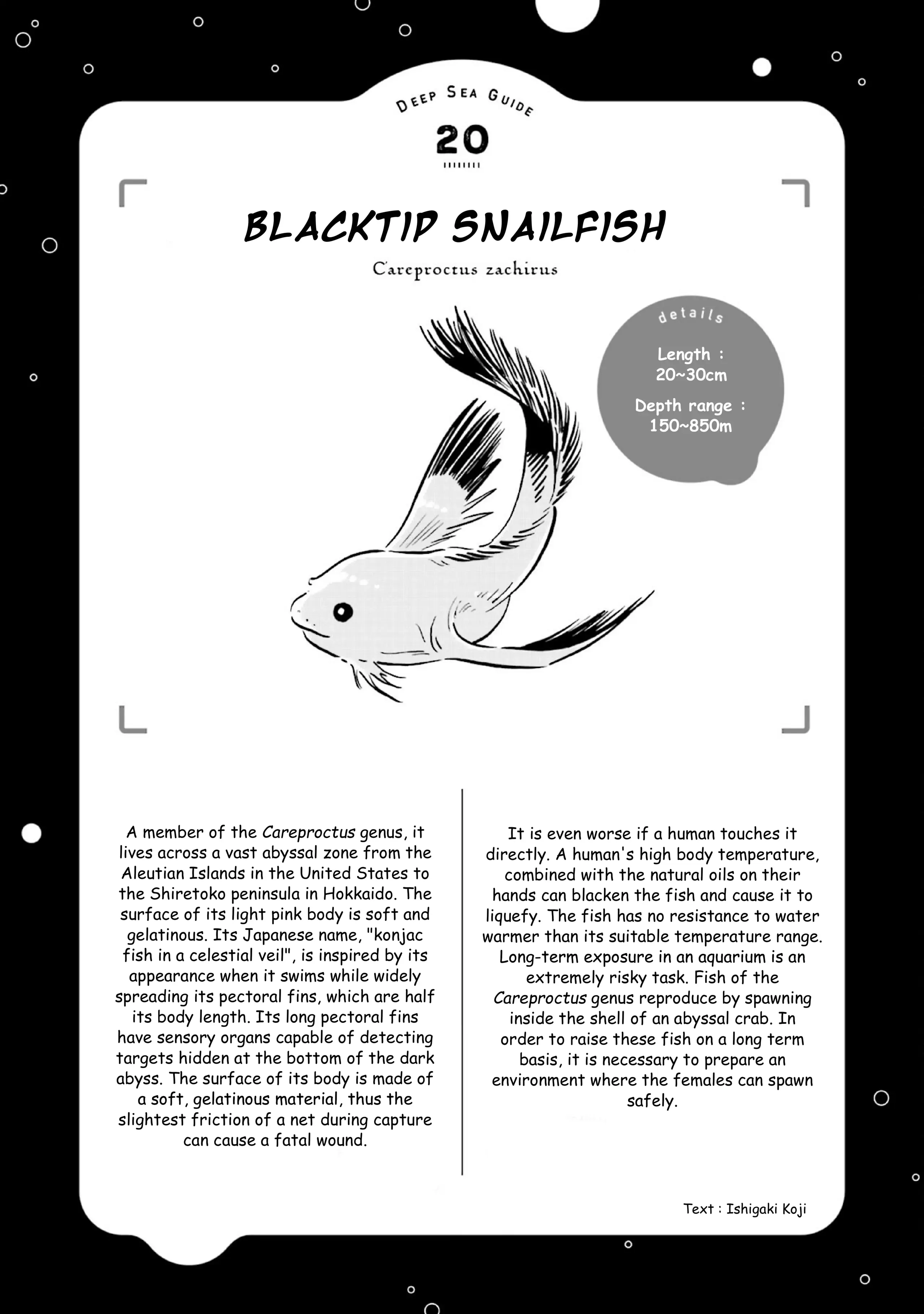 Page 35 of Chapter 23