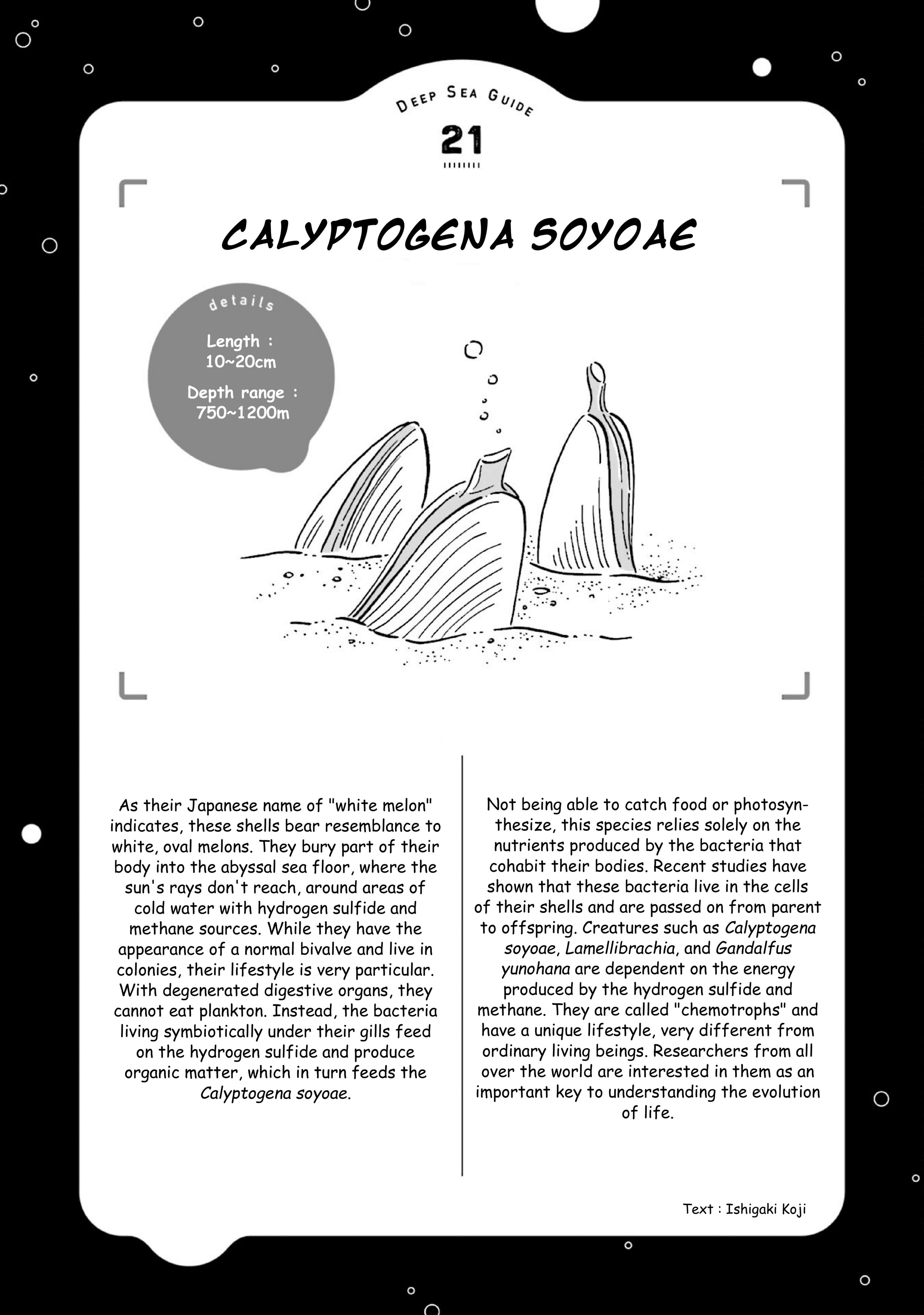 Page 39 of Chapter 25