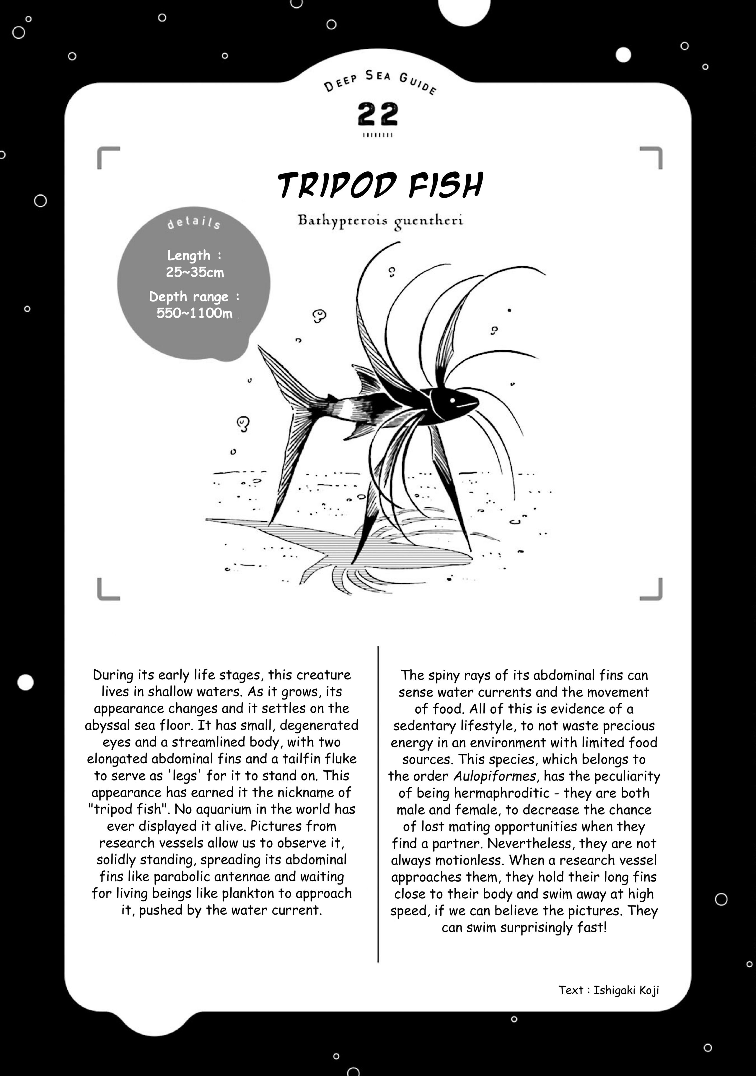 Page 34 of Chapter 26