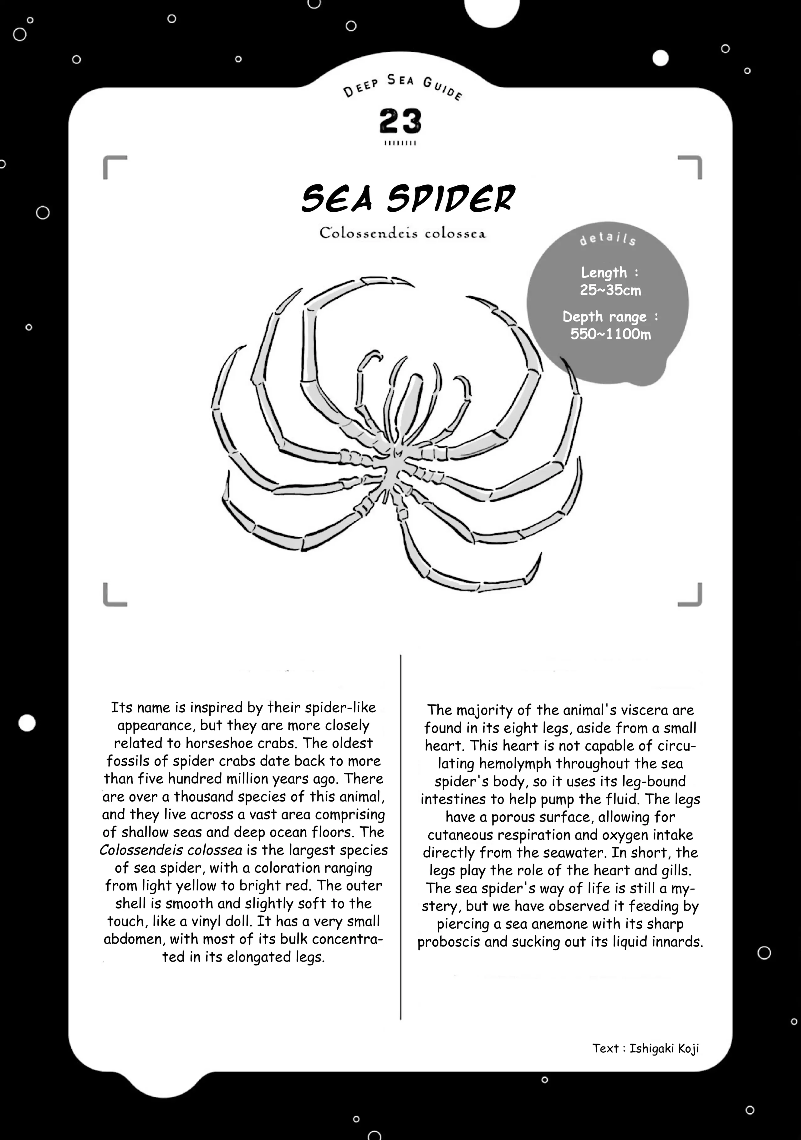 Page 35 of Chapter 27