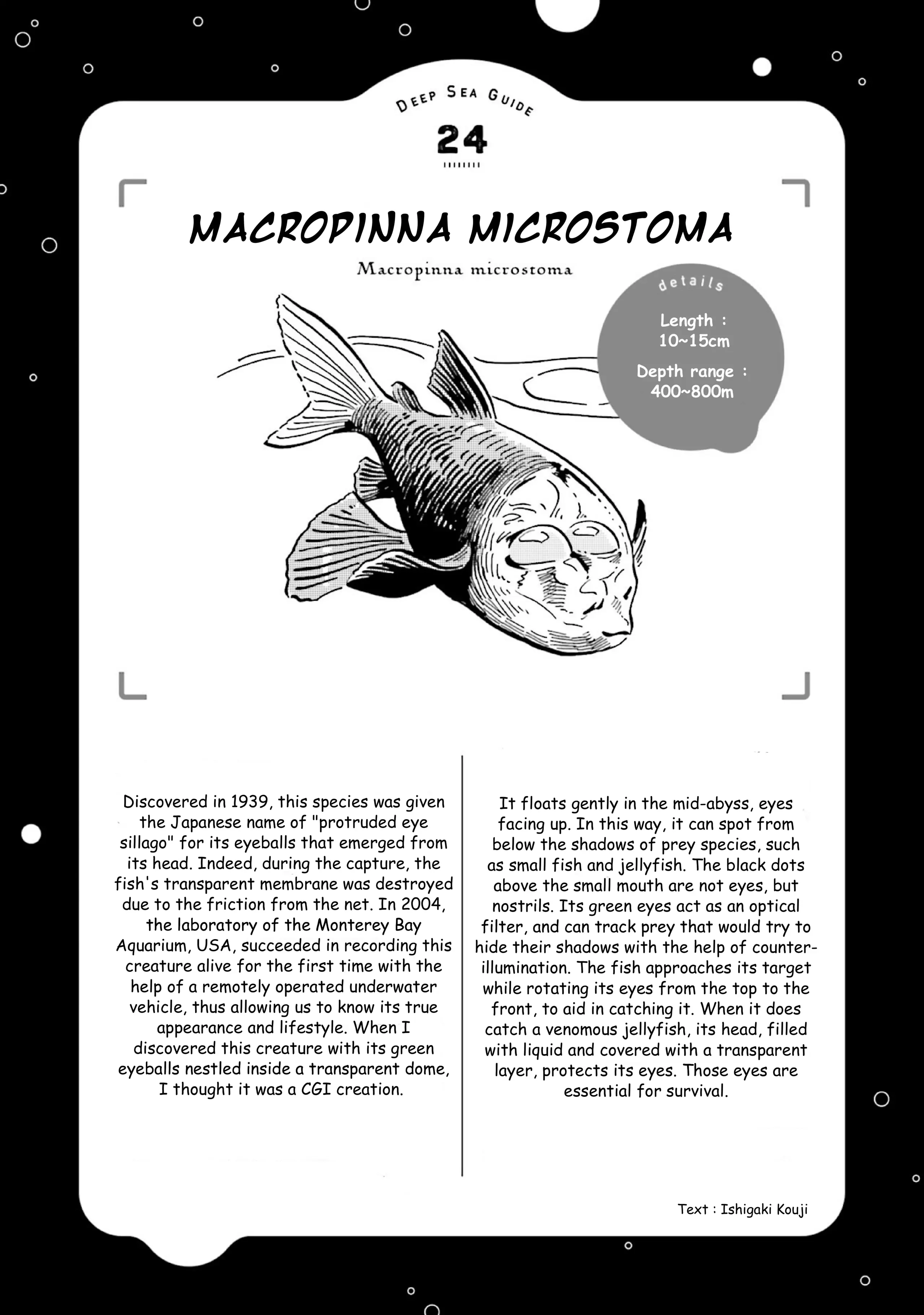 Page 37 of Chapter 28