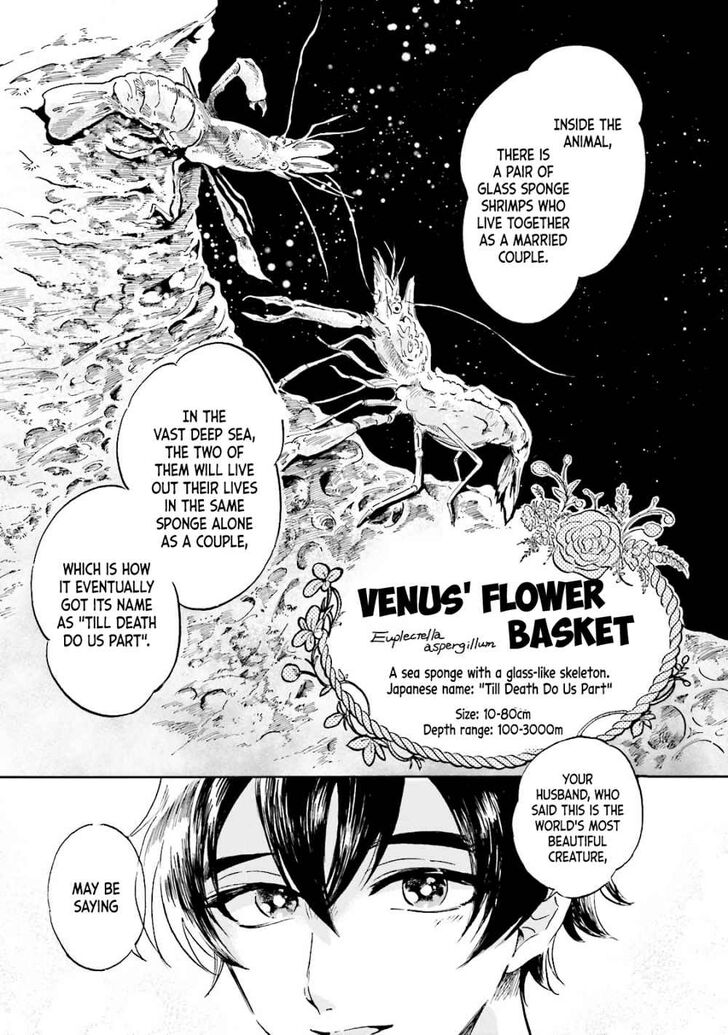 Page 16 of Chapter 3