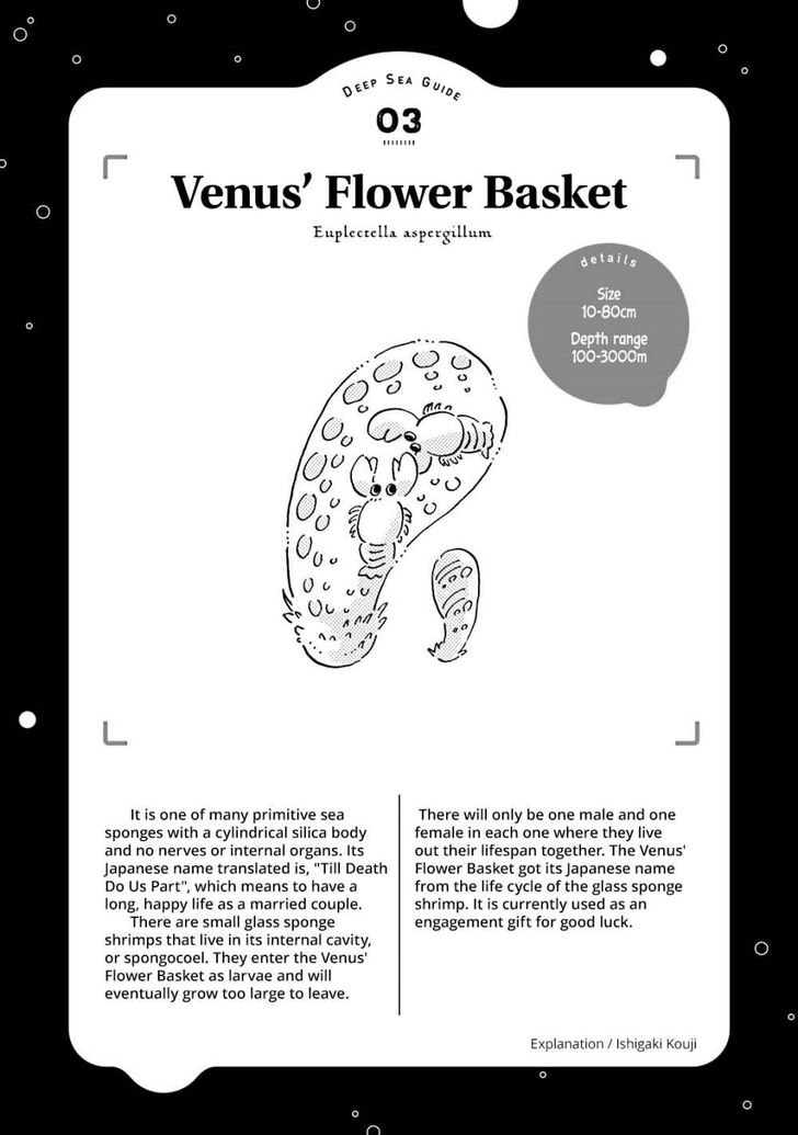 Page 21 of Chapter 3