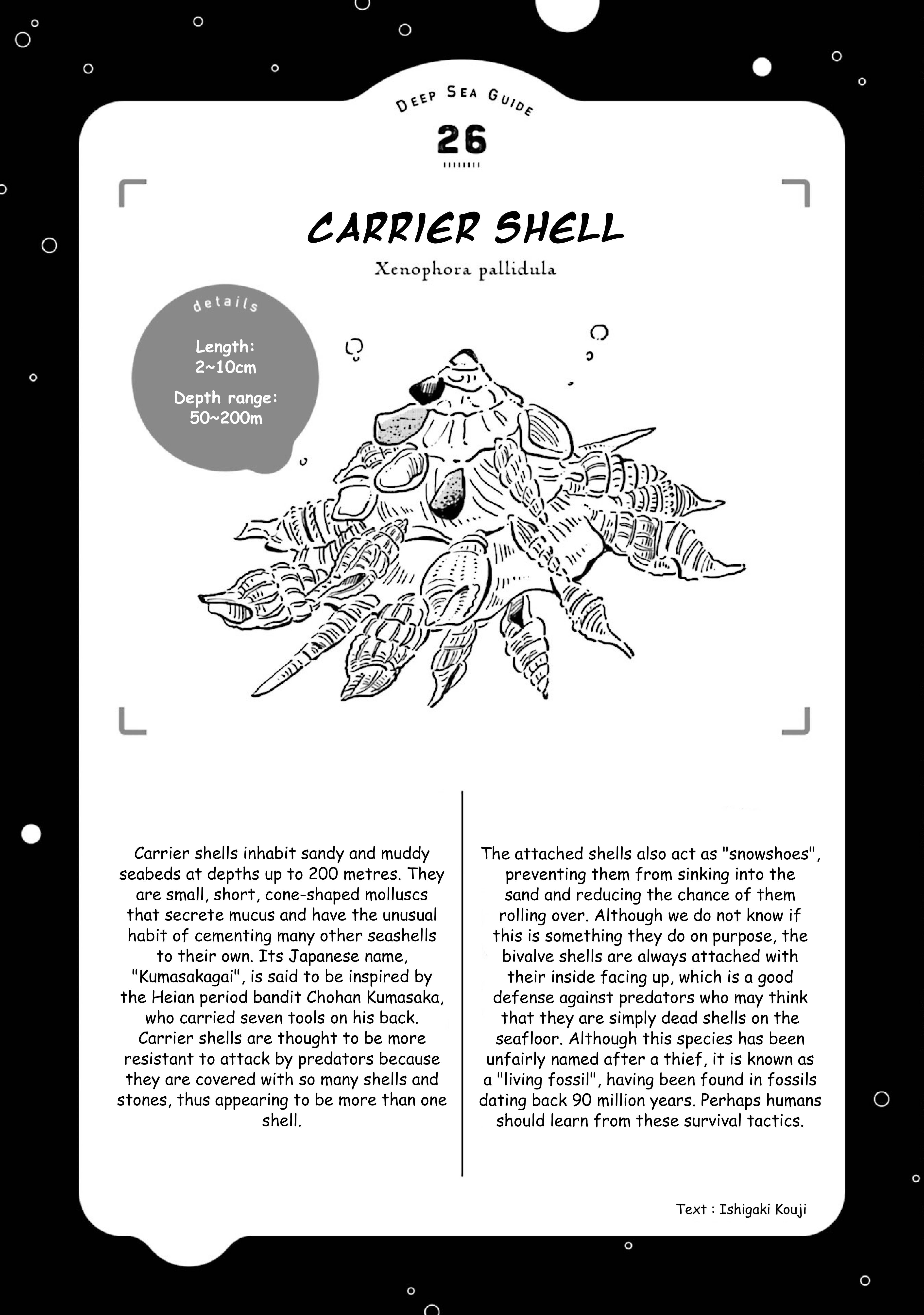 Page 31 of Chapter 31