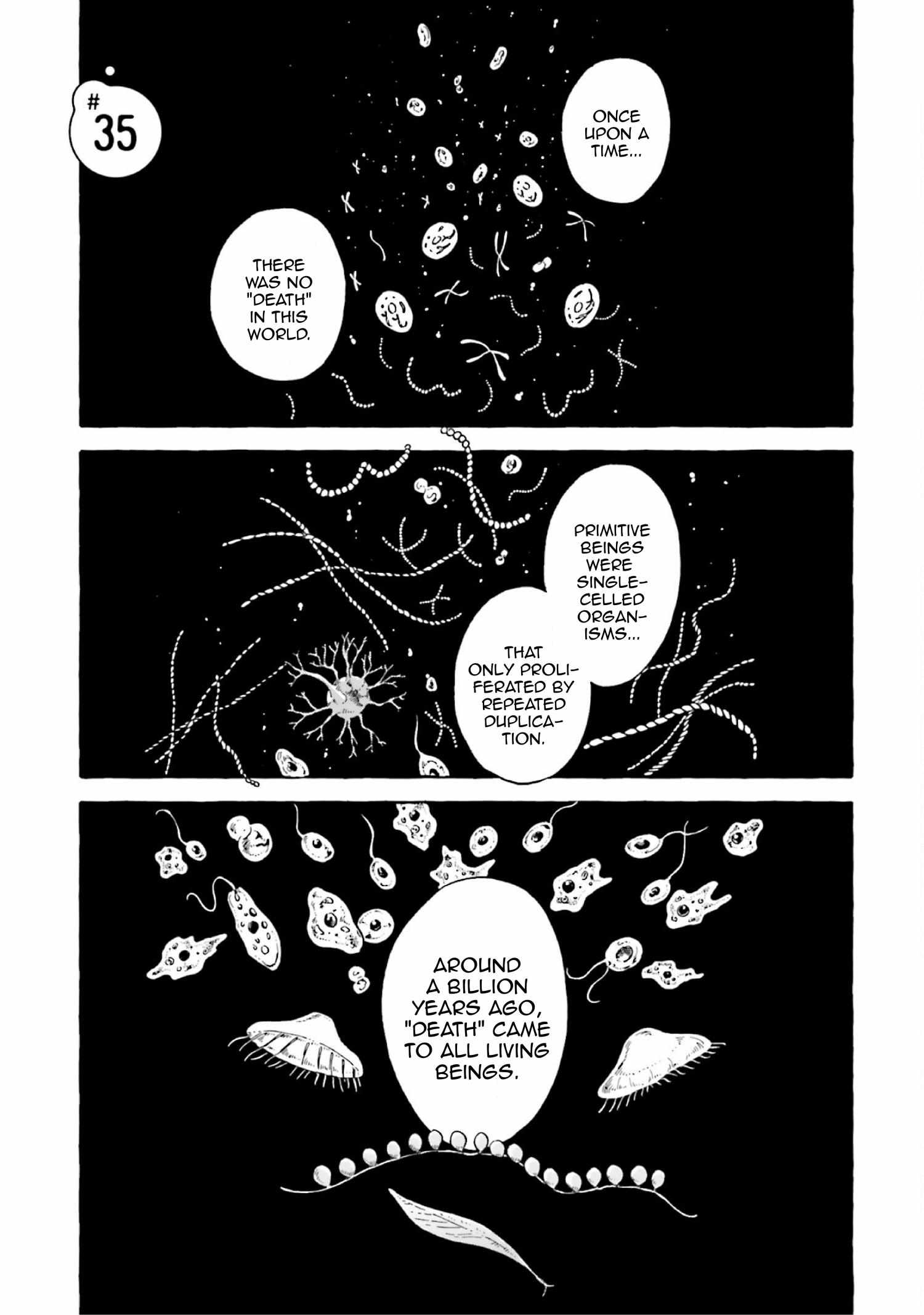 Page 2 of Chapter 35