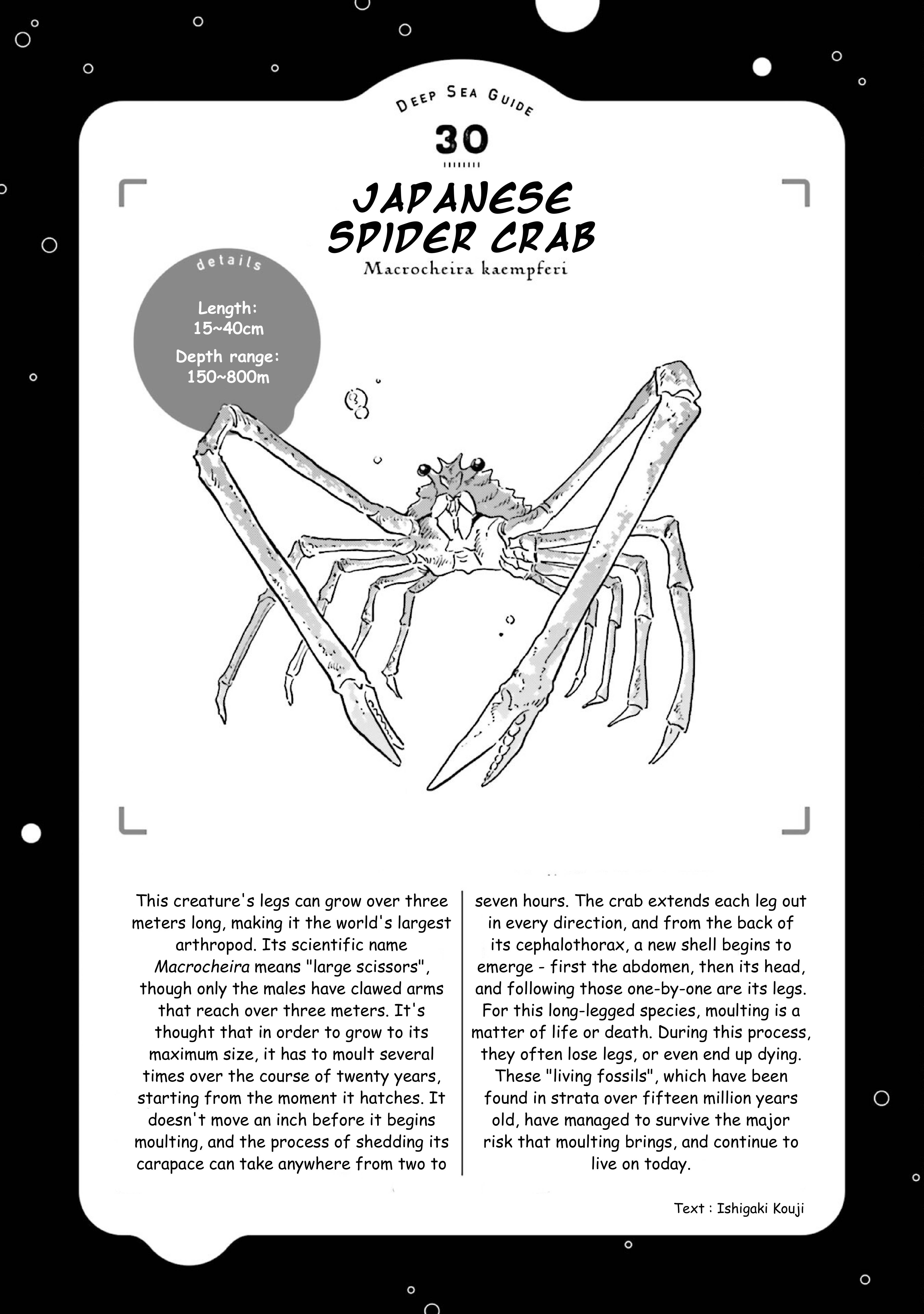 Page 32 of Chapter 37