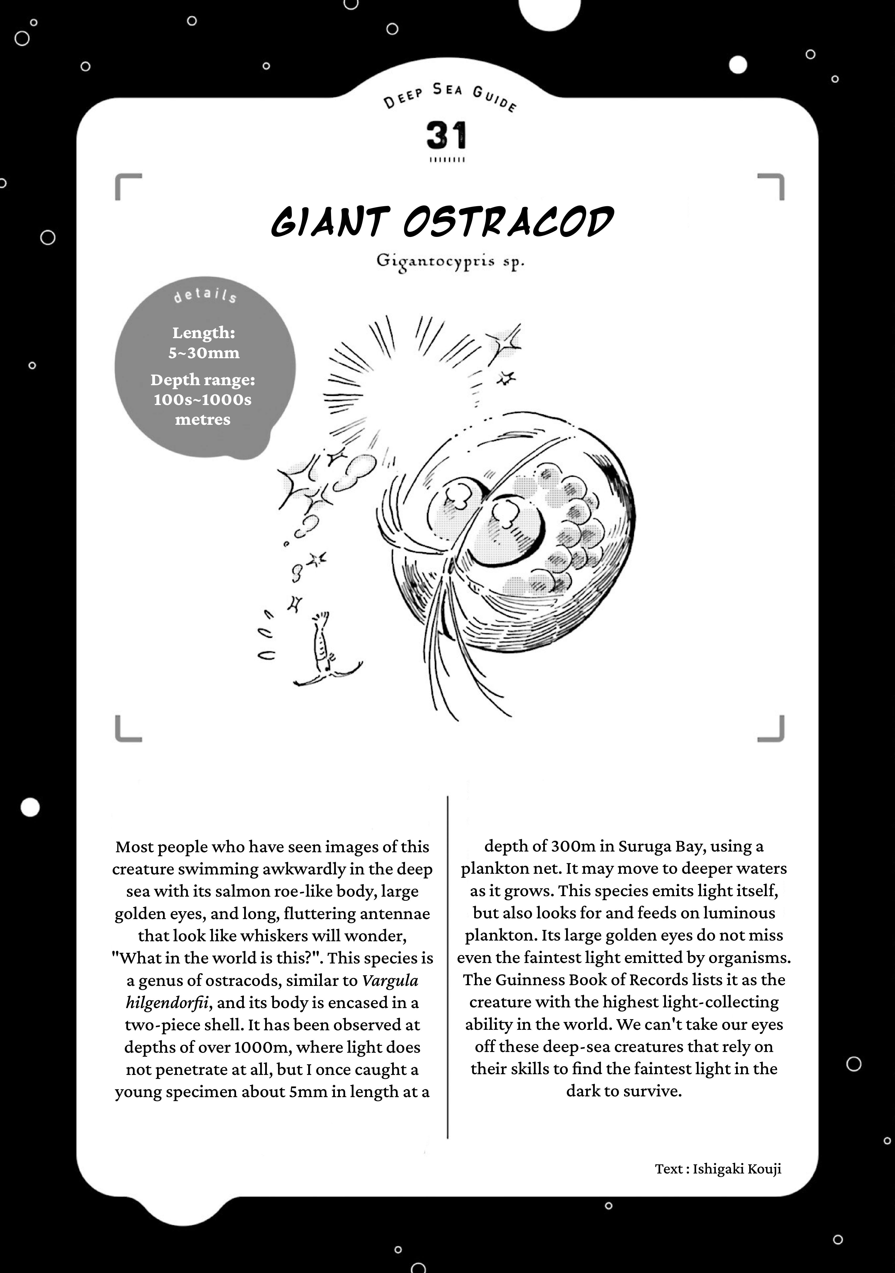 Page 41 of Chapter 38