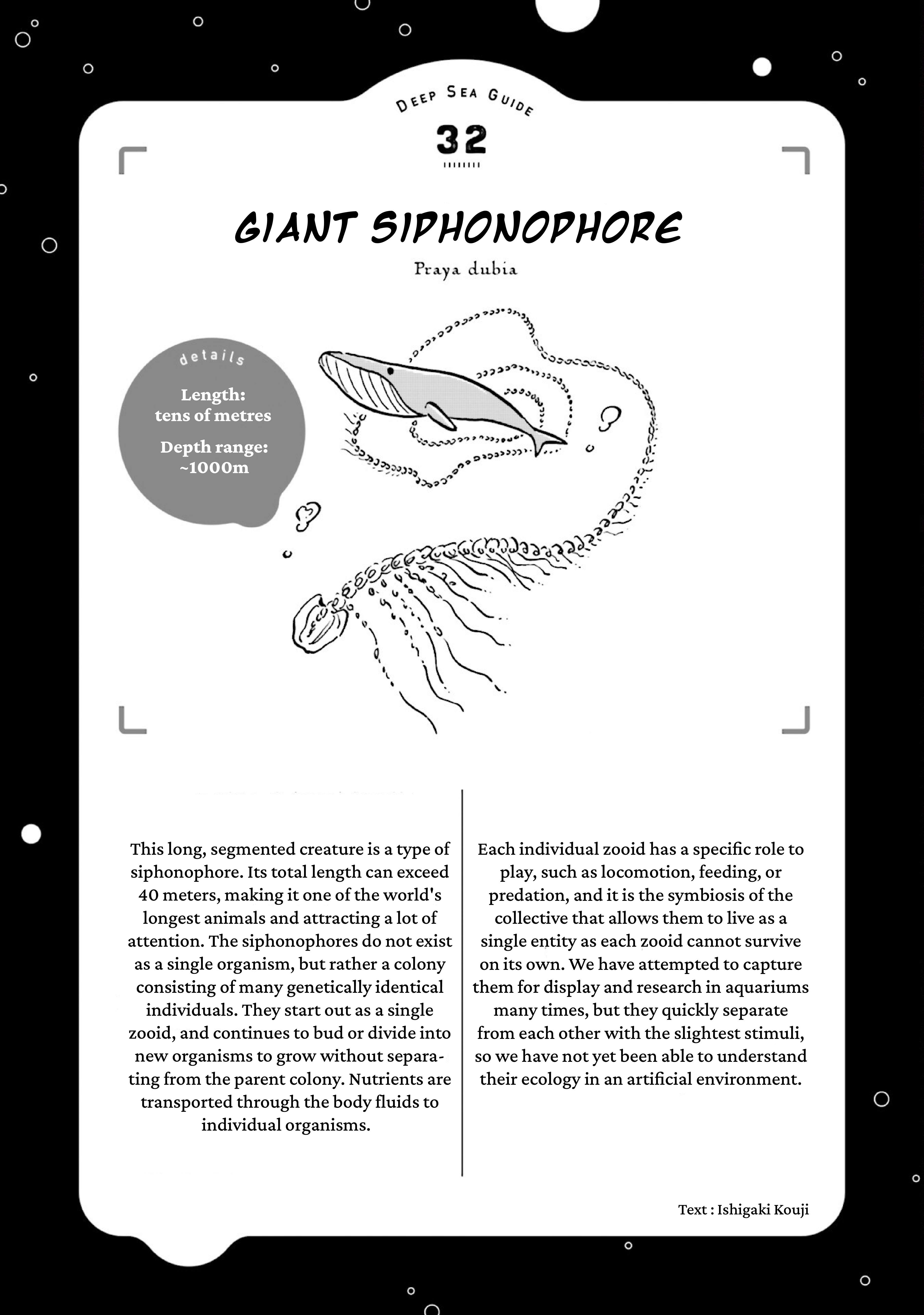 Page 31 of Chapter 39