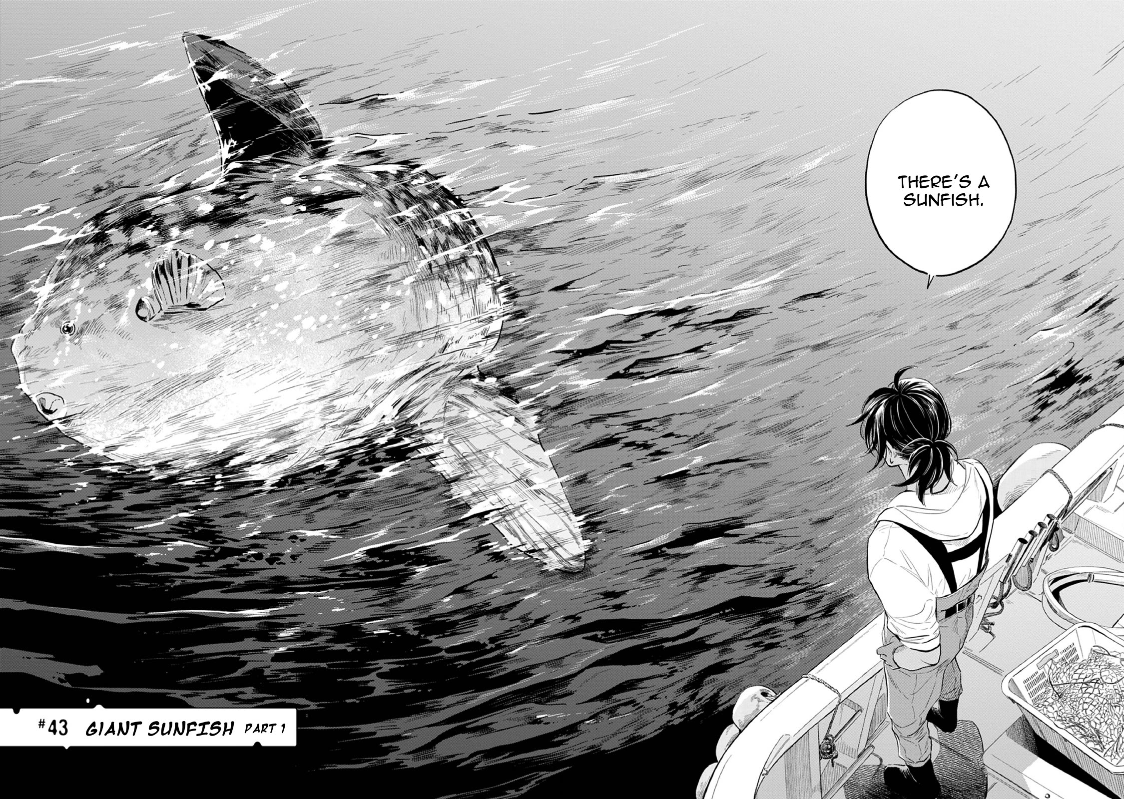 Page 4 of Chapter 43
