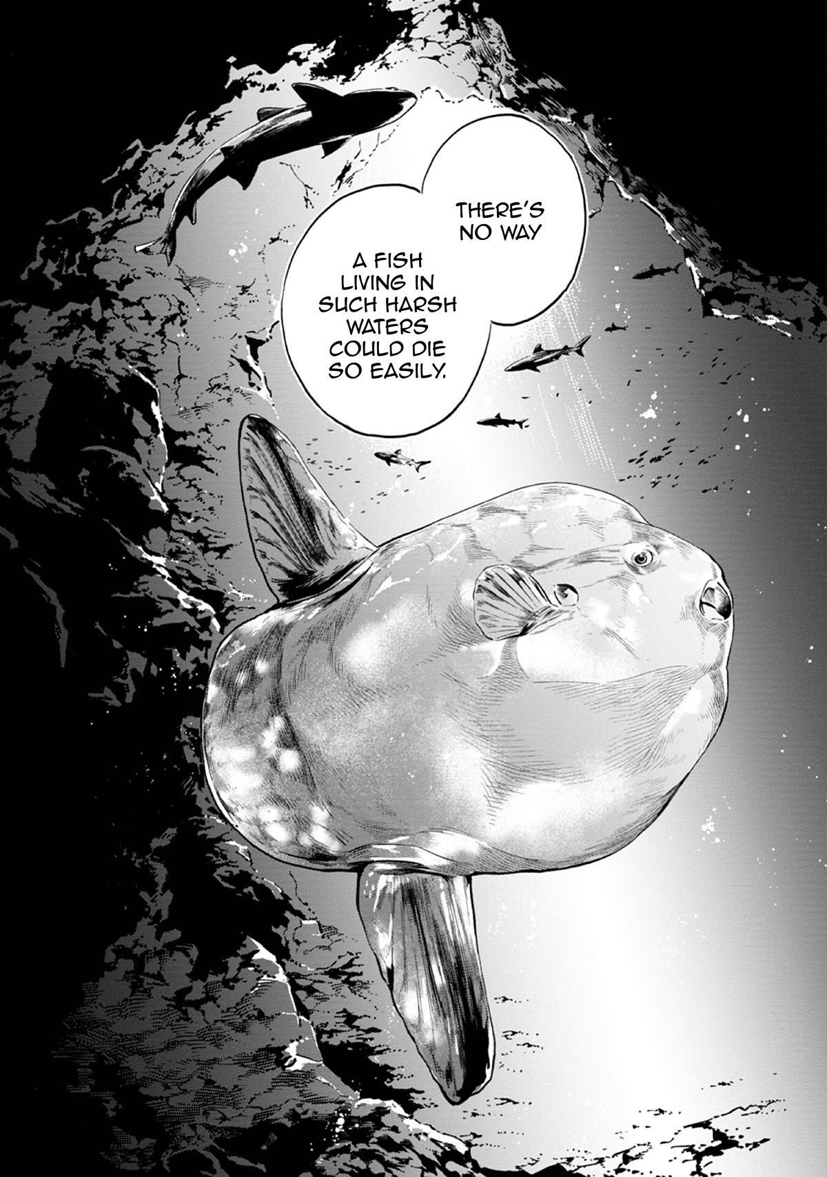 Page 31 of Chapter 43