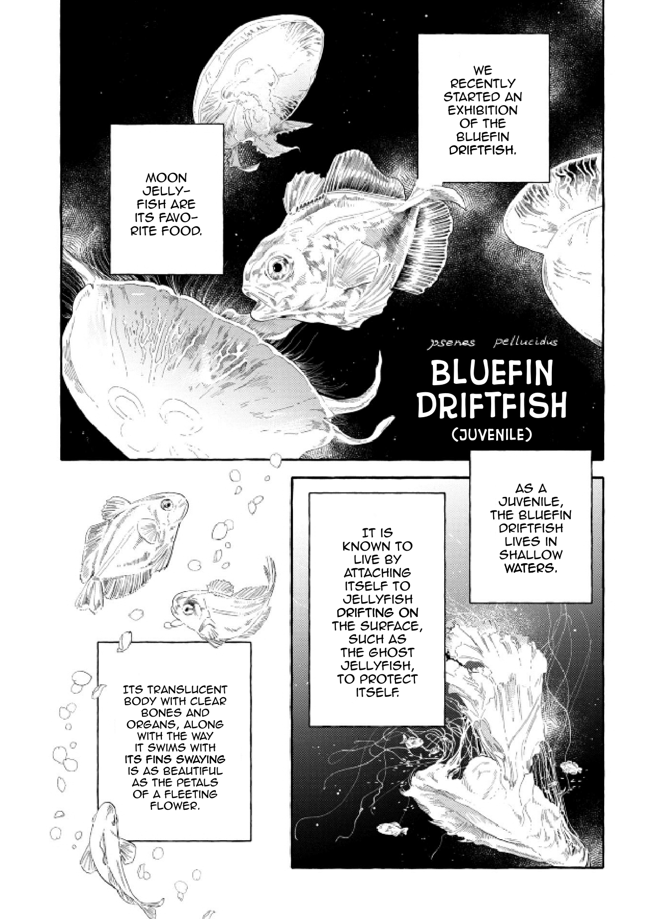 Page 19 of Chapter 48