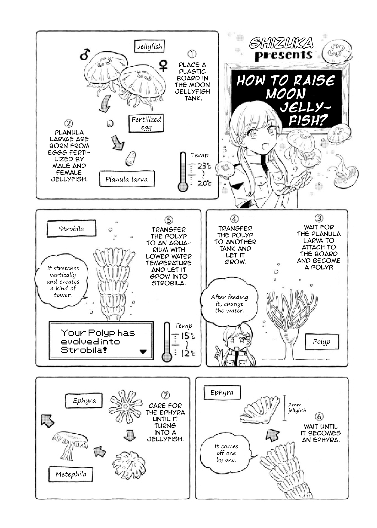 Page 21 of Chapter 48