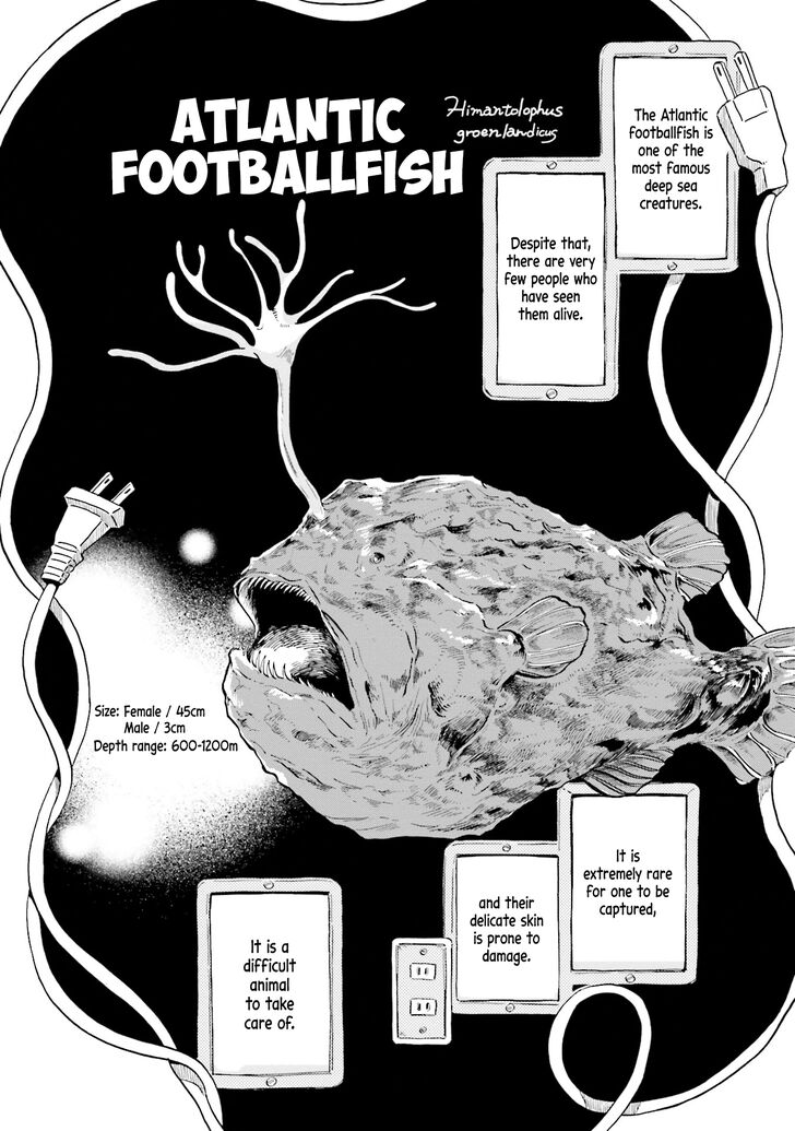 Page 6 of Chapter 5