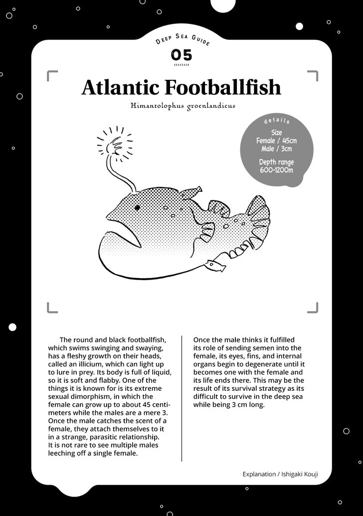 Page 31 of Chapter 5