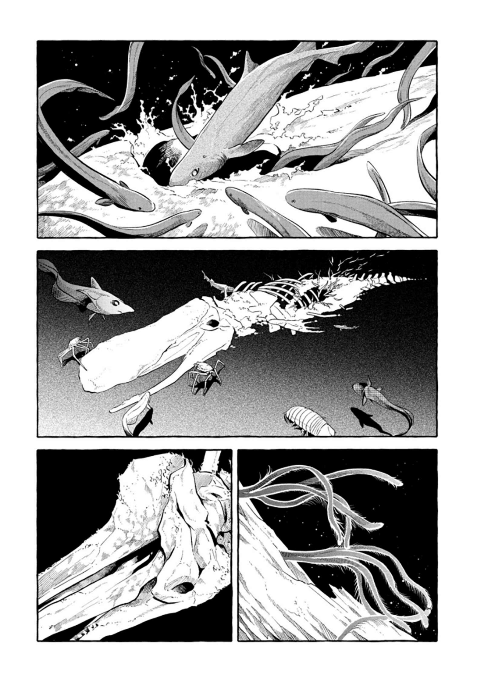 Page 24 of Chapter 52