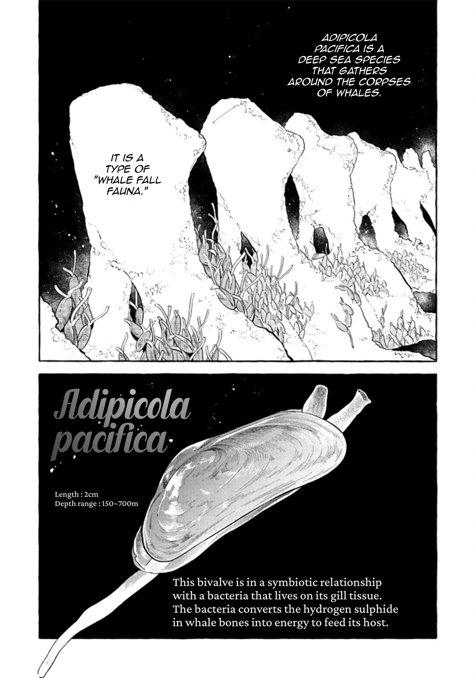 Page 37 of Chapter 52