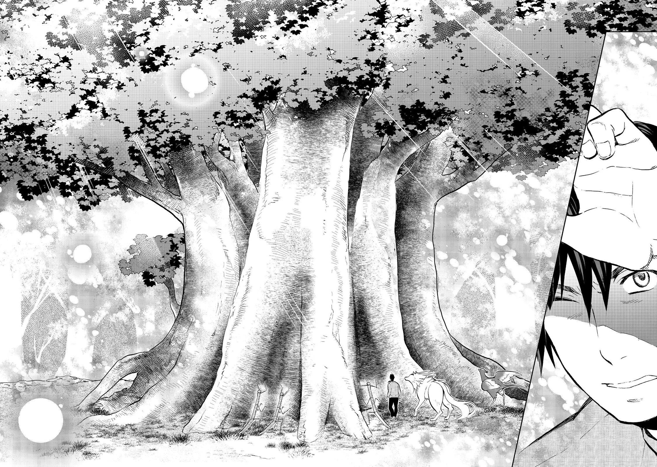 Page 3 of Chapter 24.2