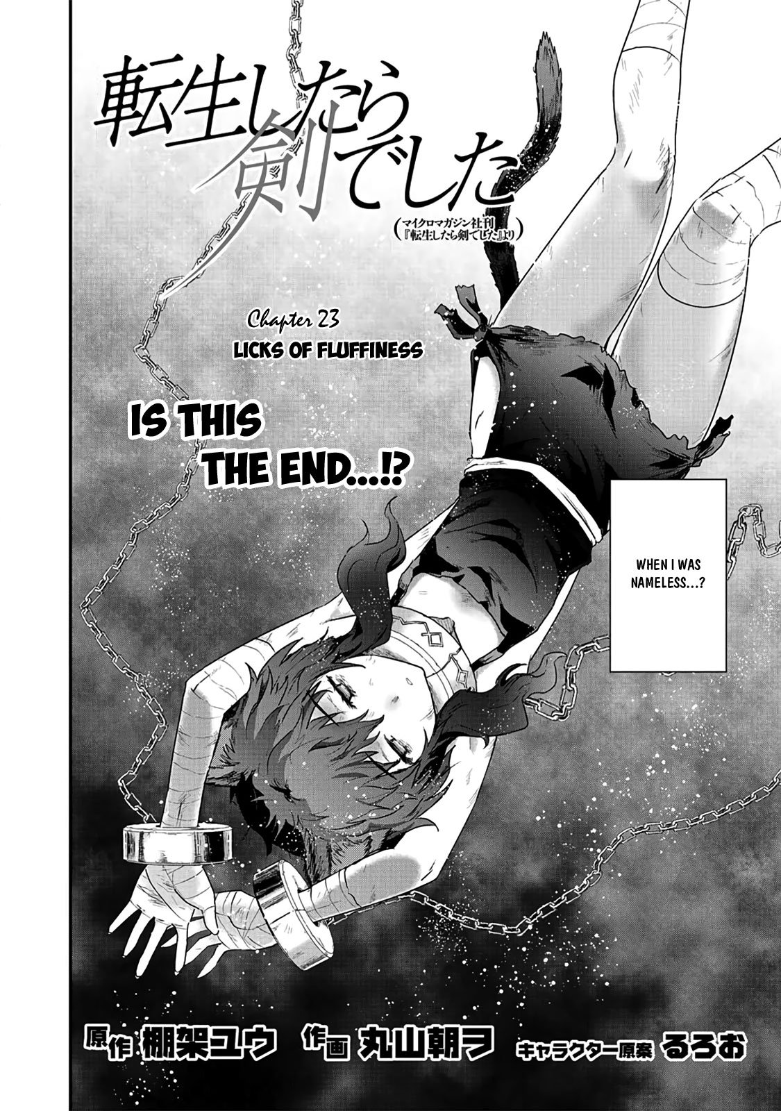 Page 3 of Chapter 23
