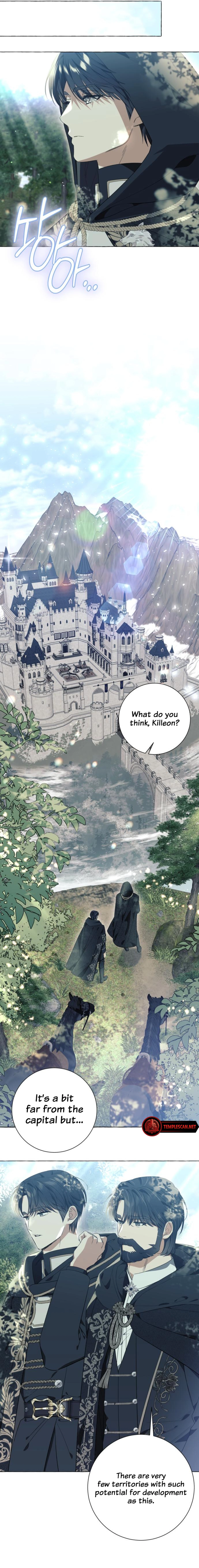 Page 17 of Chapter 23