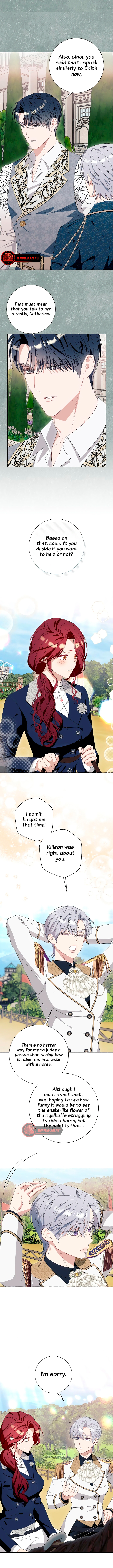 Page 4 of Chapter 41