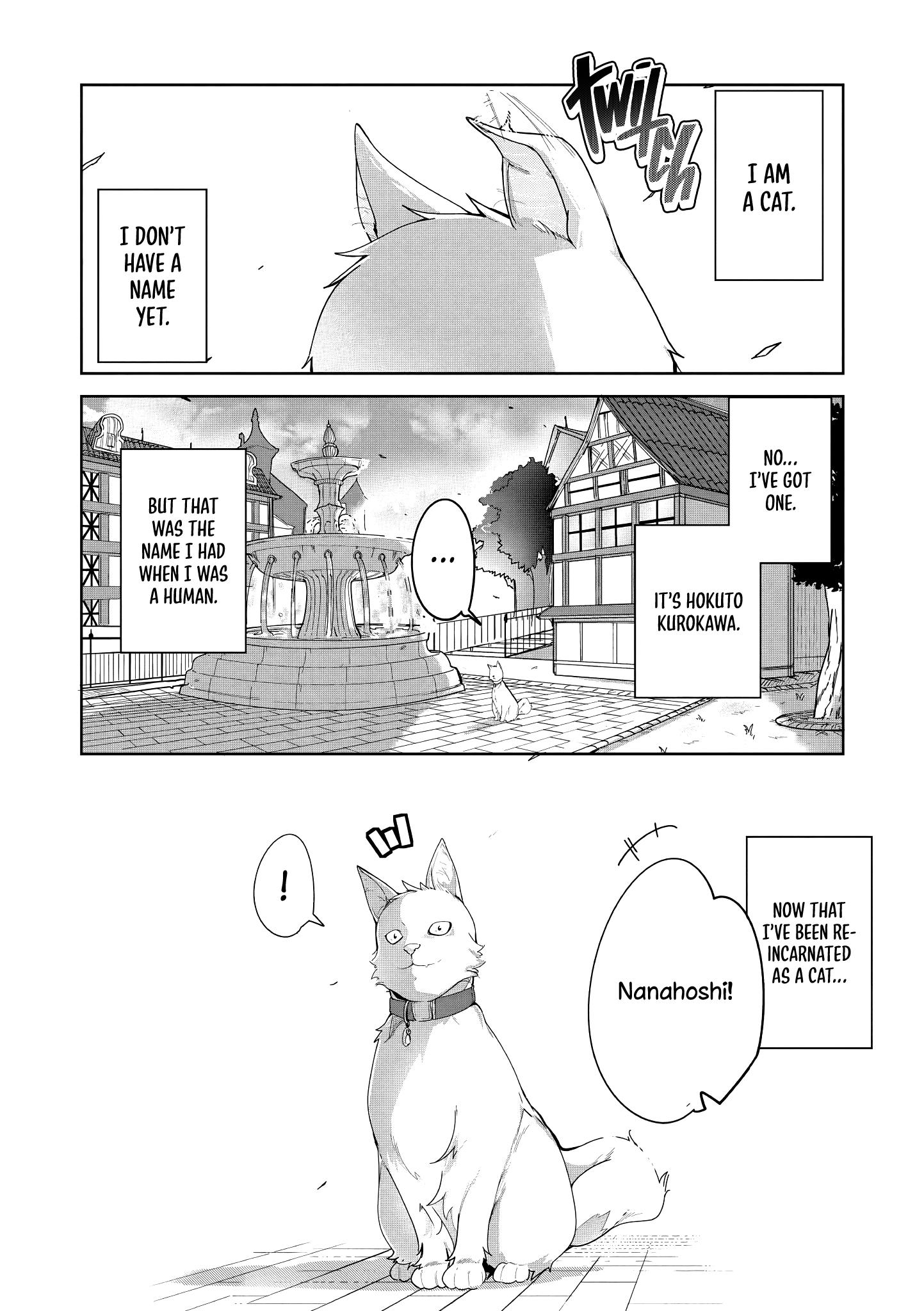 Page 6 of Chapter 1