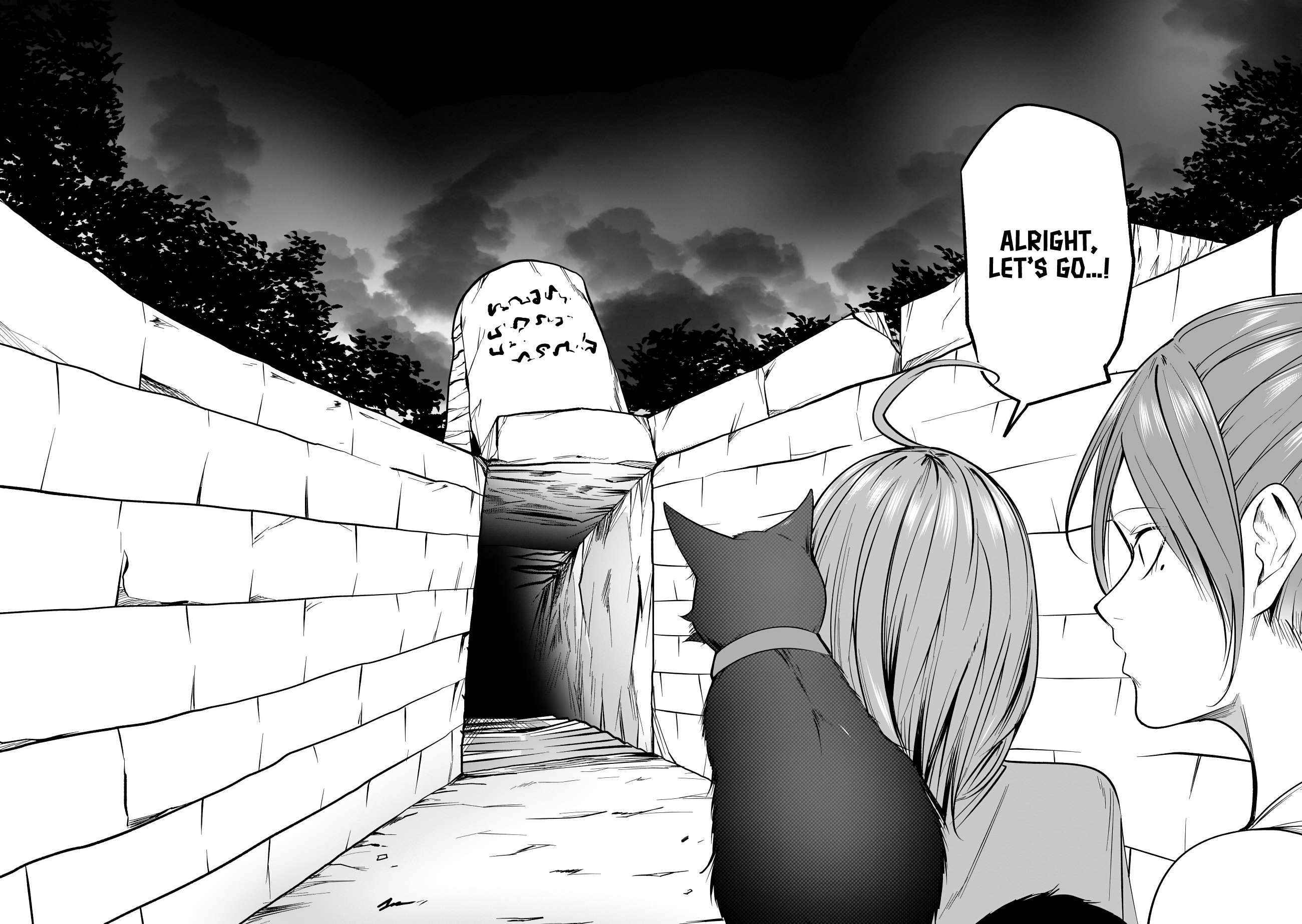 Page 25 of Chapter 11