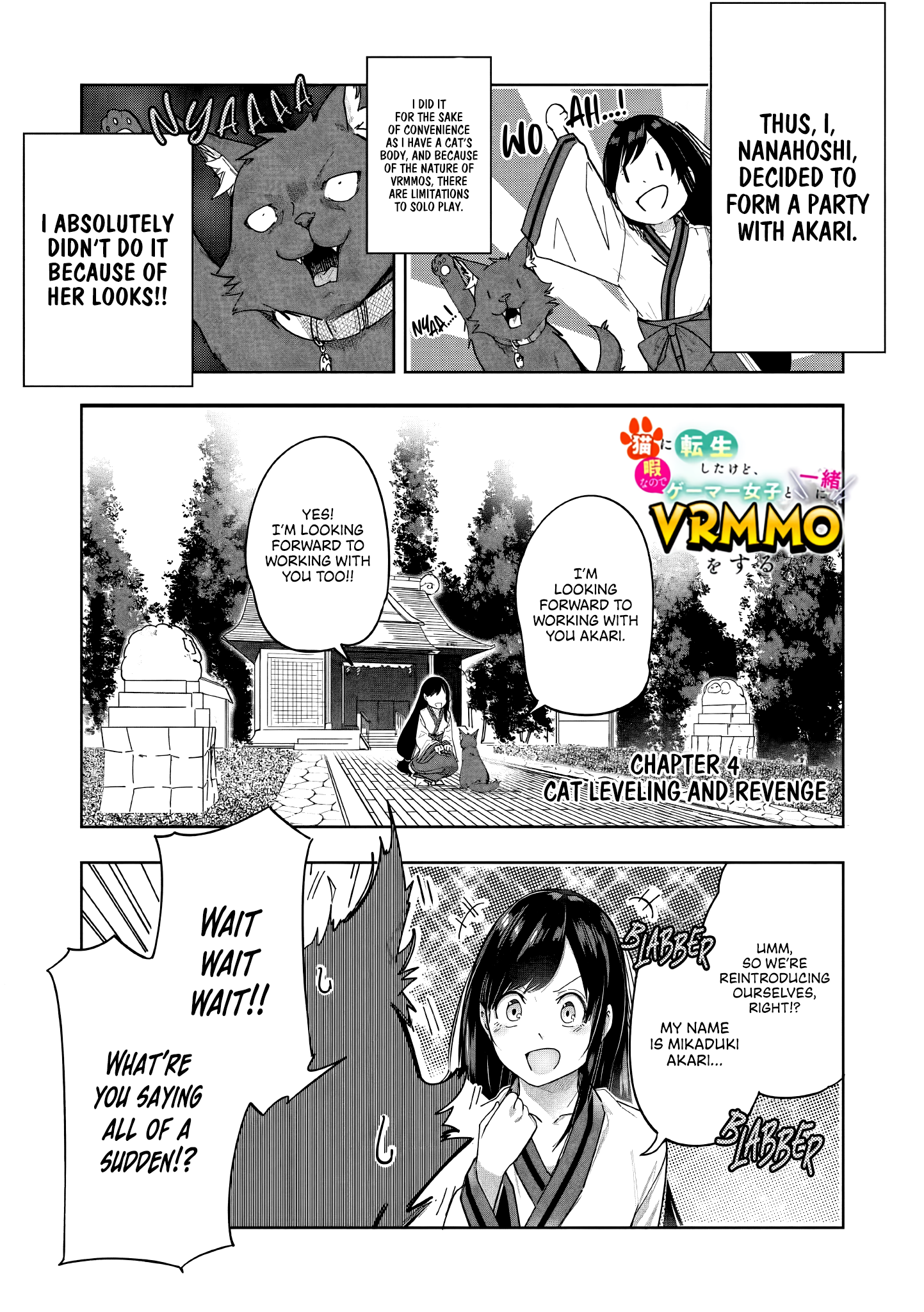 Page 4 of Chapter 4