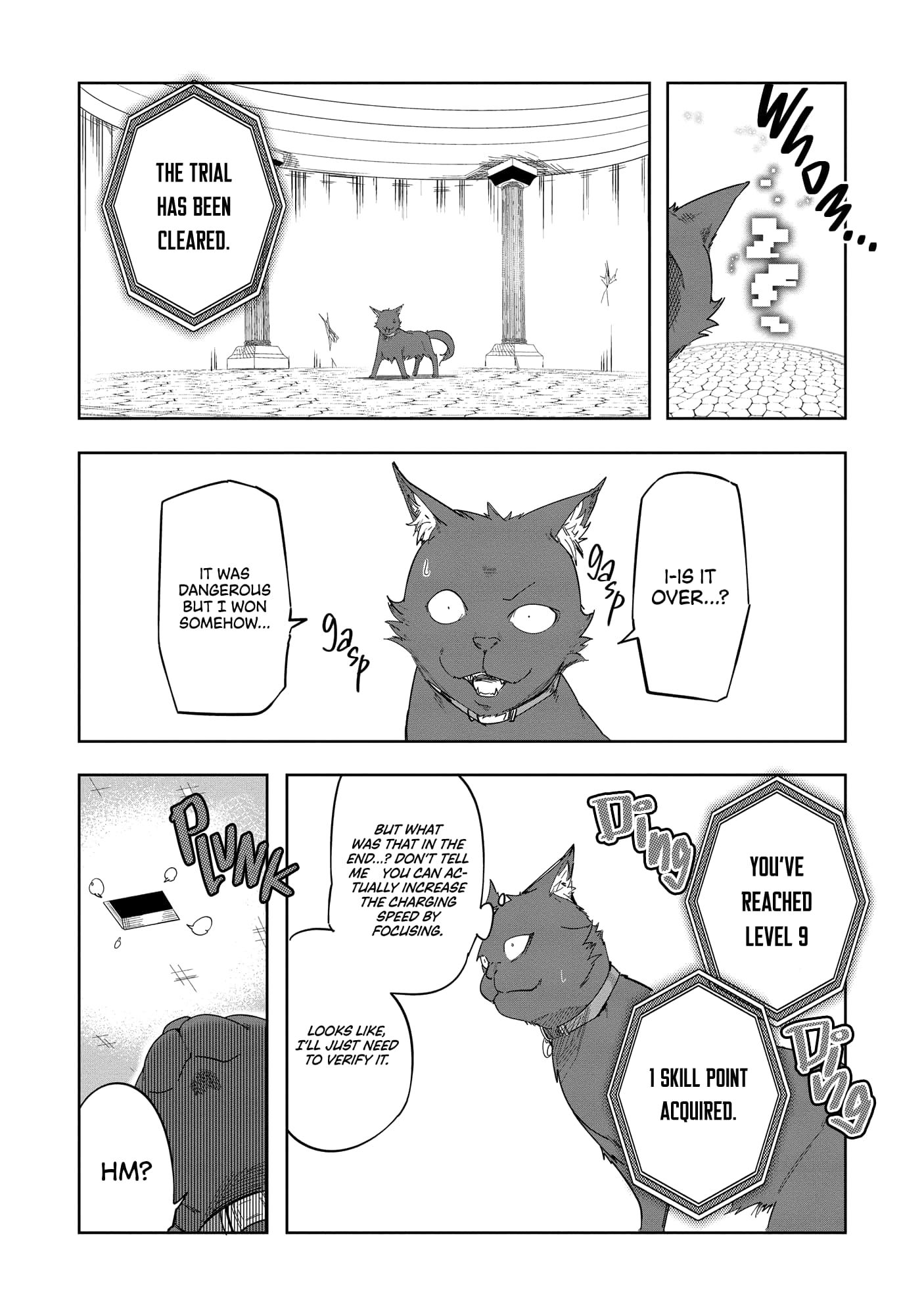 Page 13 of Chapter 5