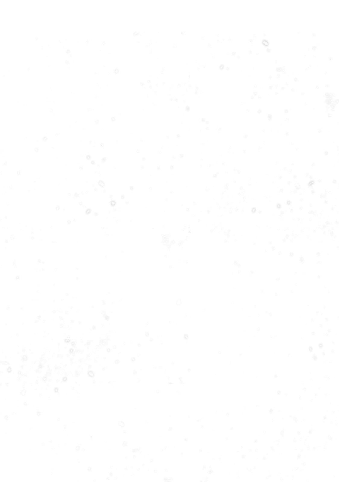Page 11 of Chapter 63.2