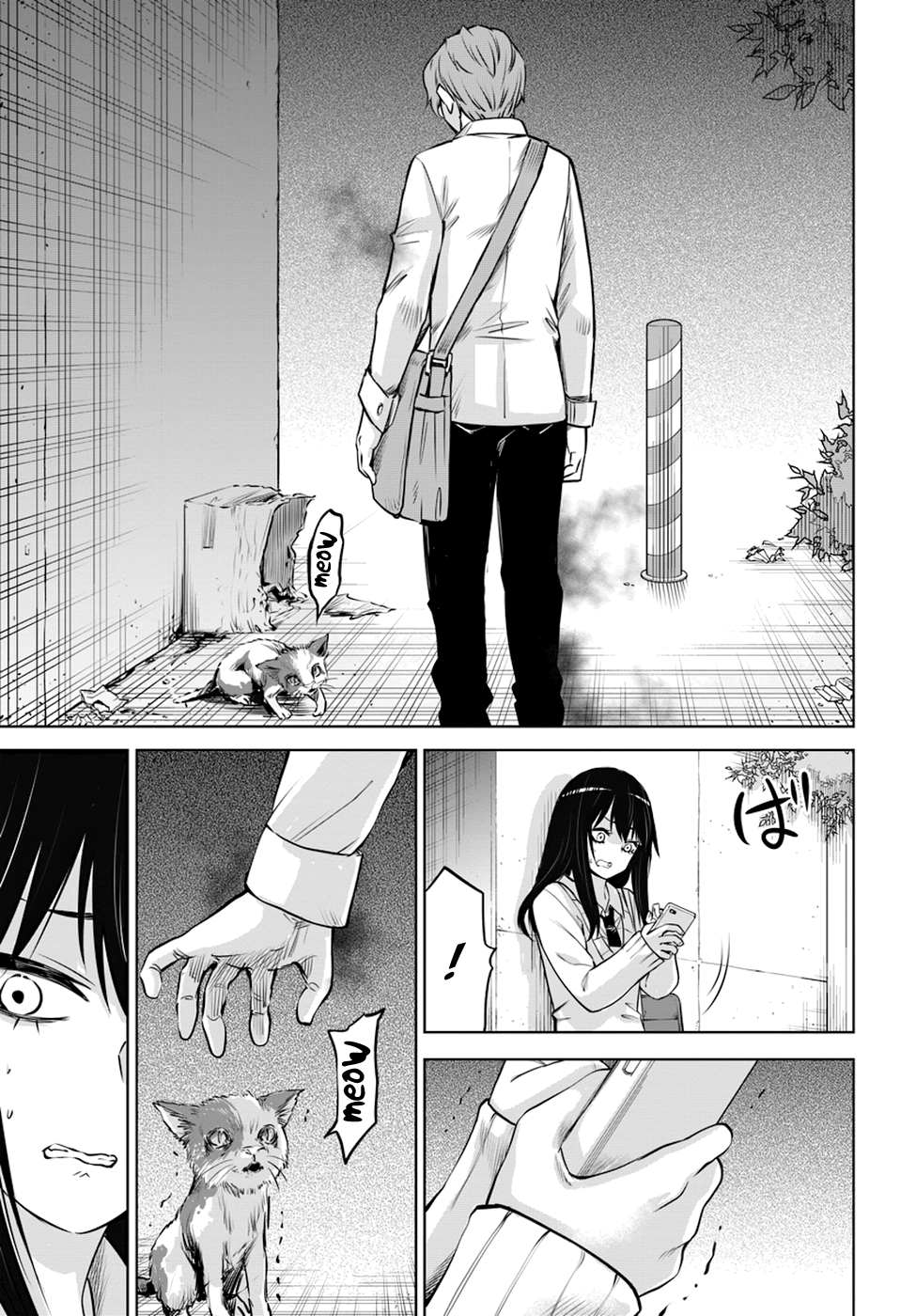 Page 15 of Chapter 21